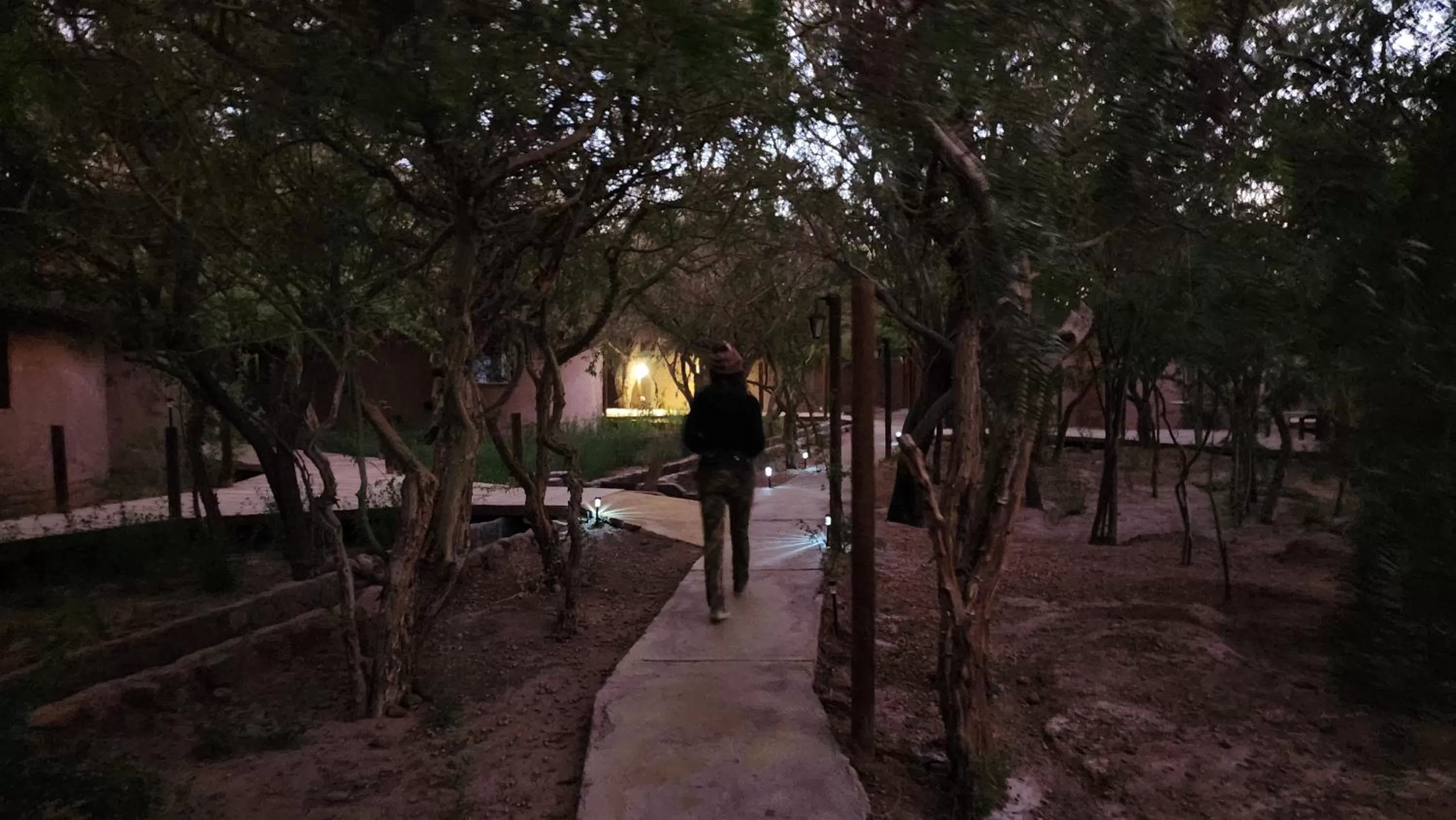 Patio in Hotel Tulor