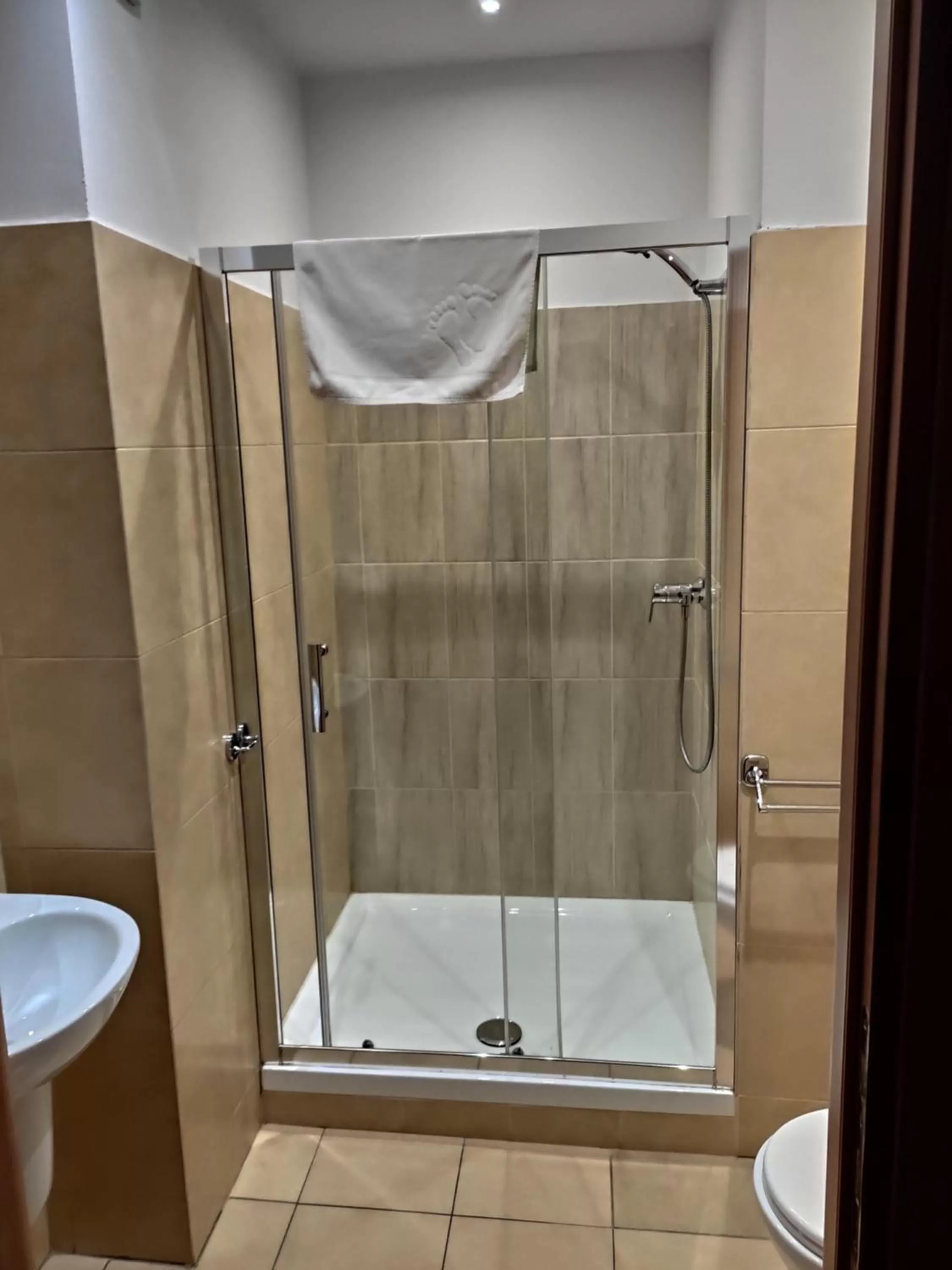 Shower in Hotel Vistula