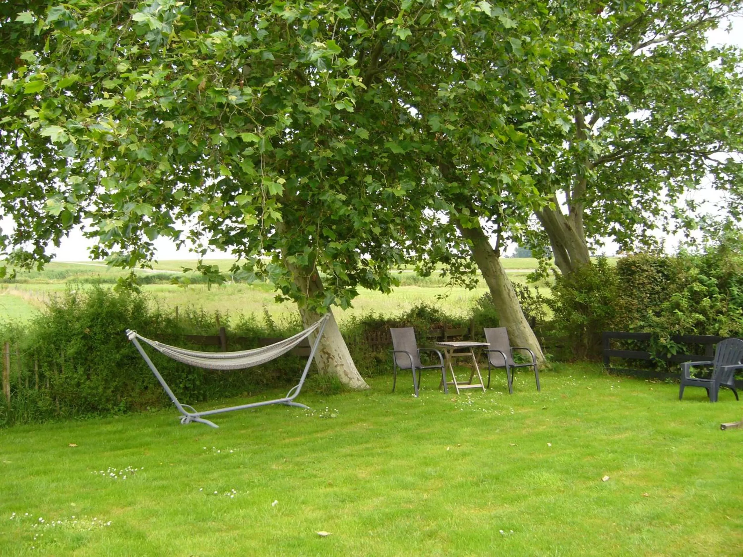 Garden view in de Stjelp Pleats