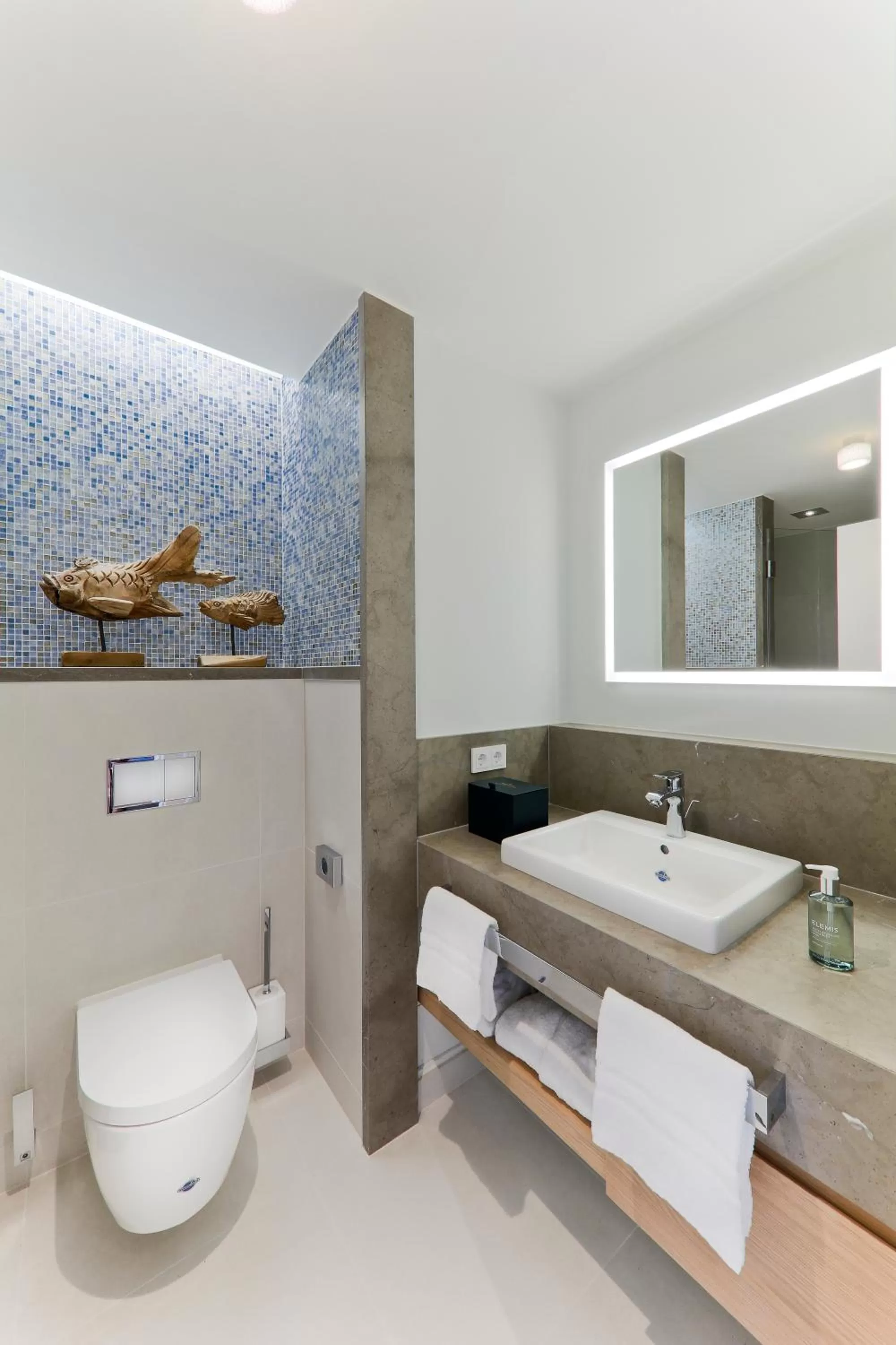 Toilet in Upstalsboom Wyk auf Föhr