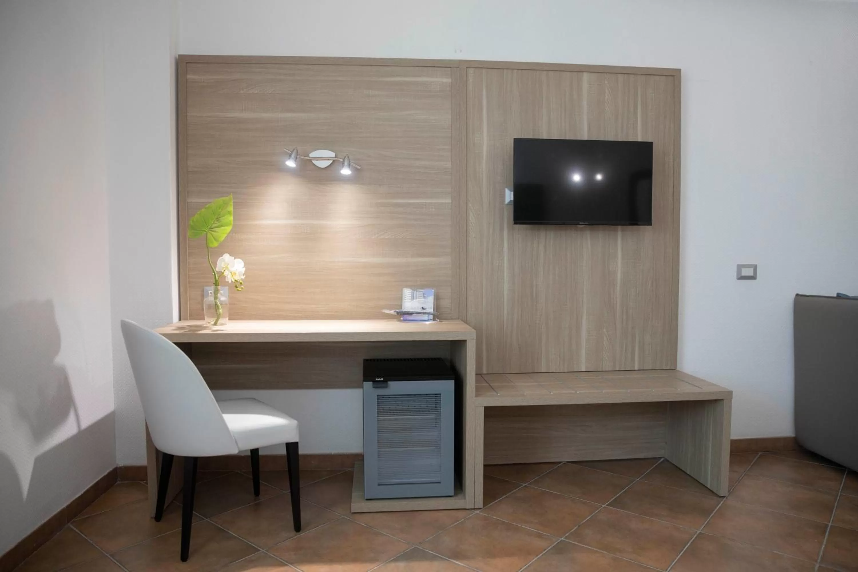 TV and multimedia in Pegasus Hotel