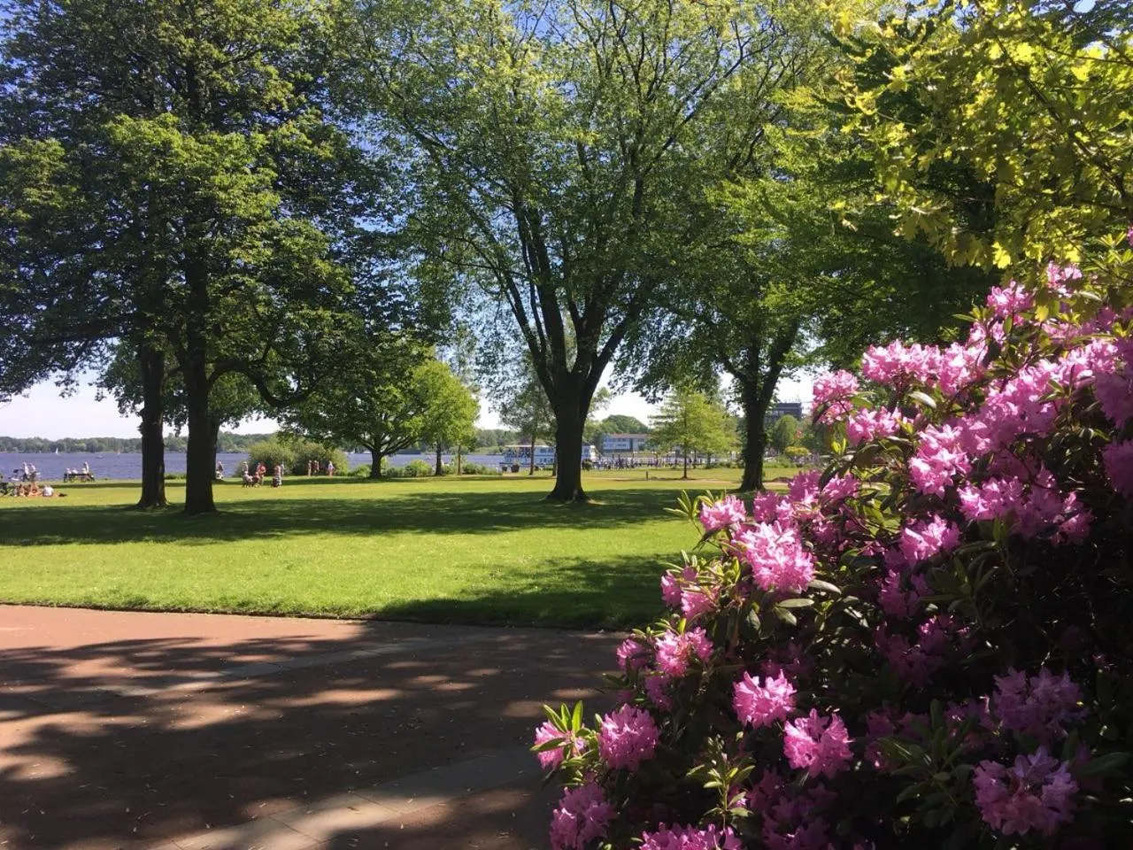 Natural landscape in HansenS Haus am Meer