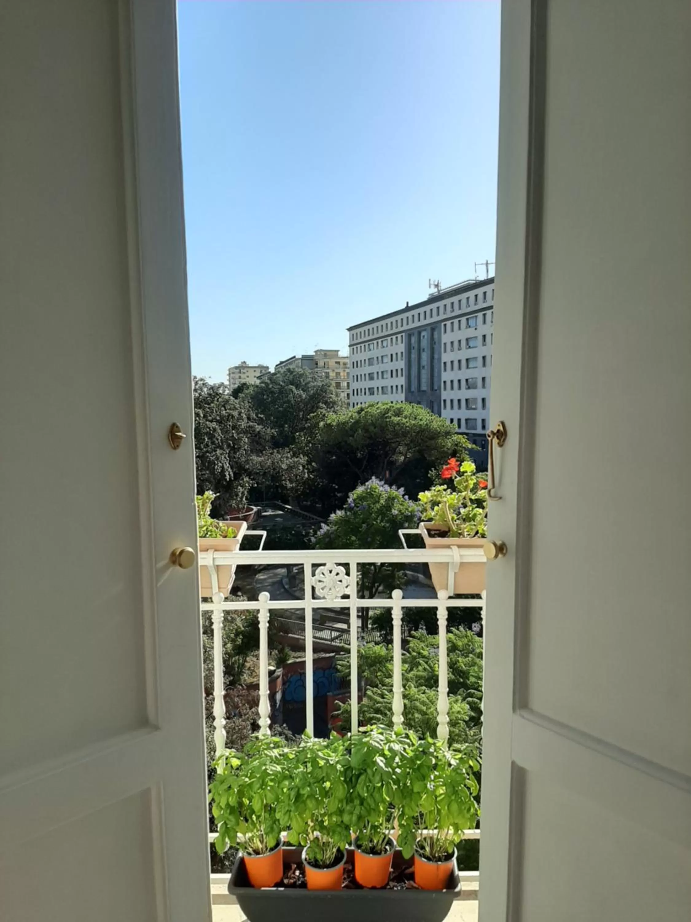 View (from property/room) in MONART HOSPITALITY Cavour