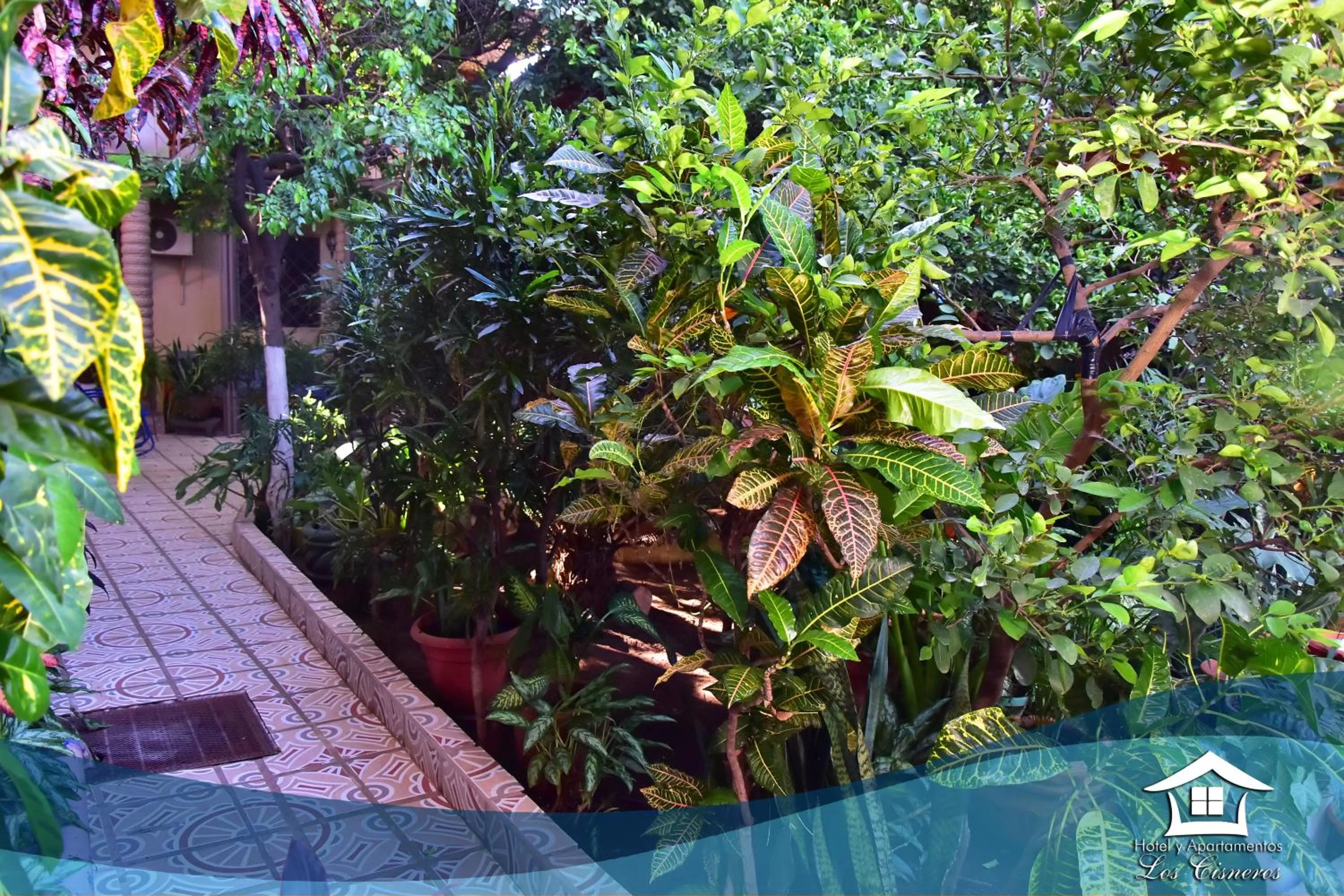 Facade/entrance in Hotel y Apartments Los Cisneros