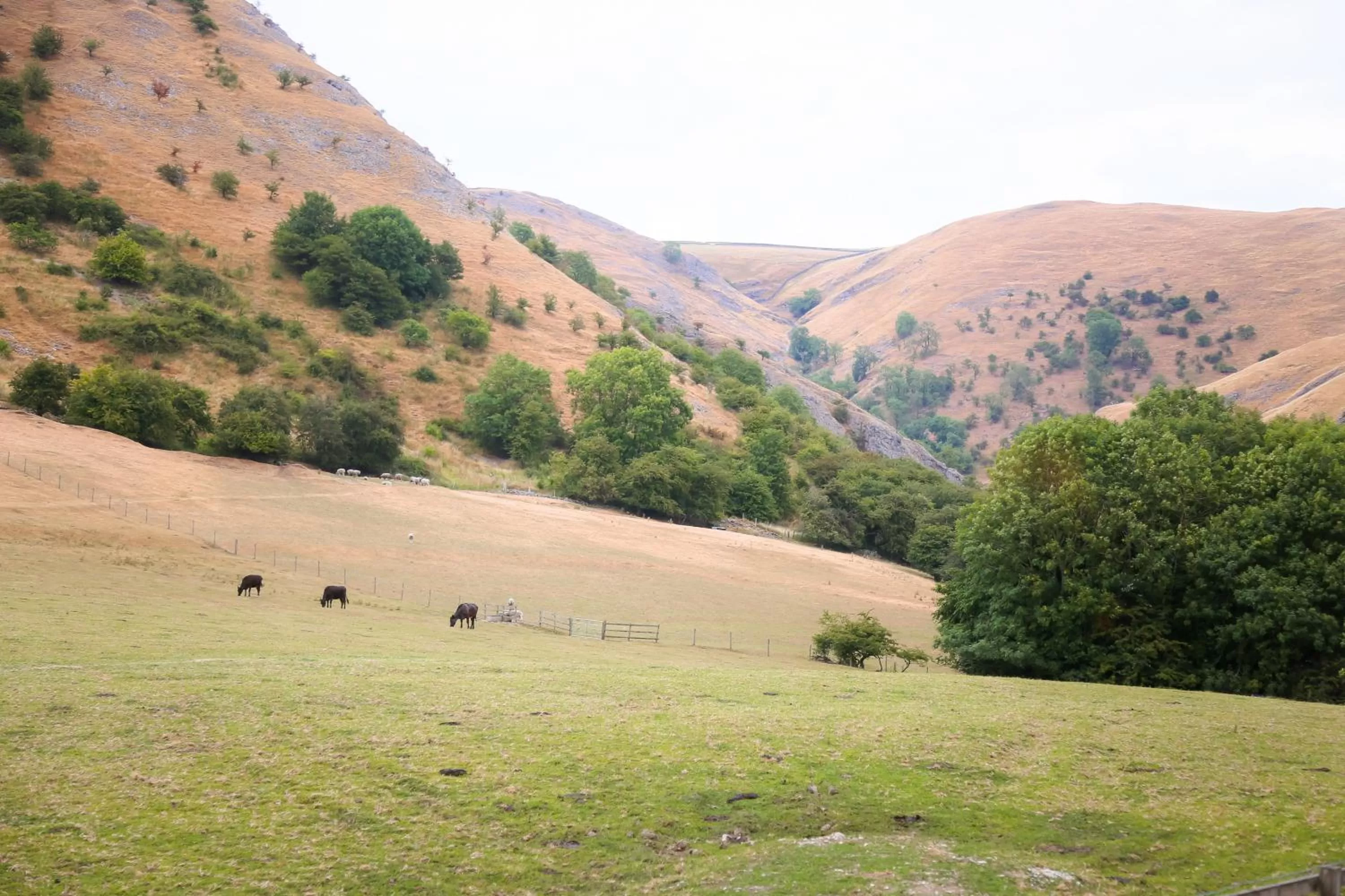 Natural landscape in The Izaak Walton Country House Hotel - Dovedale