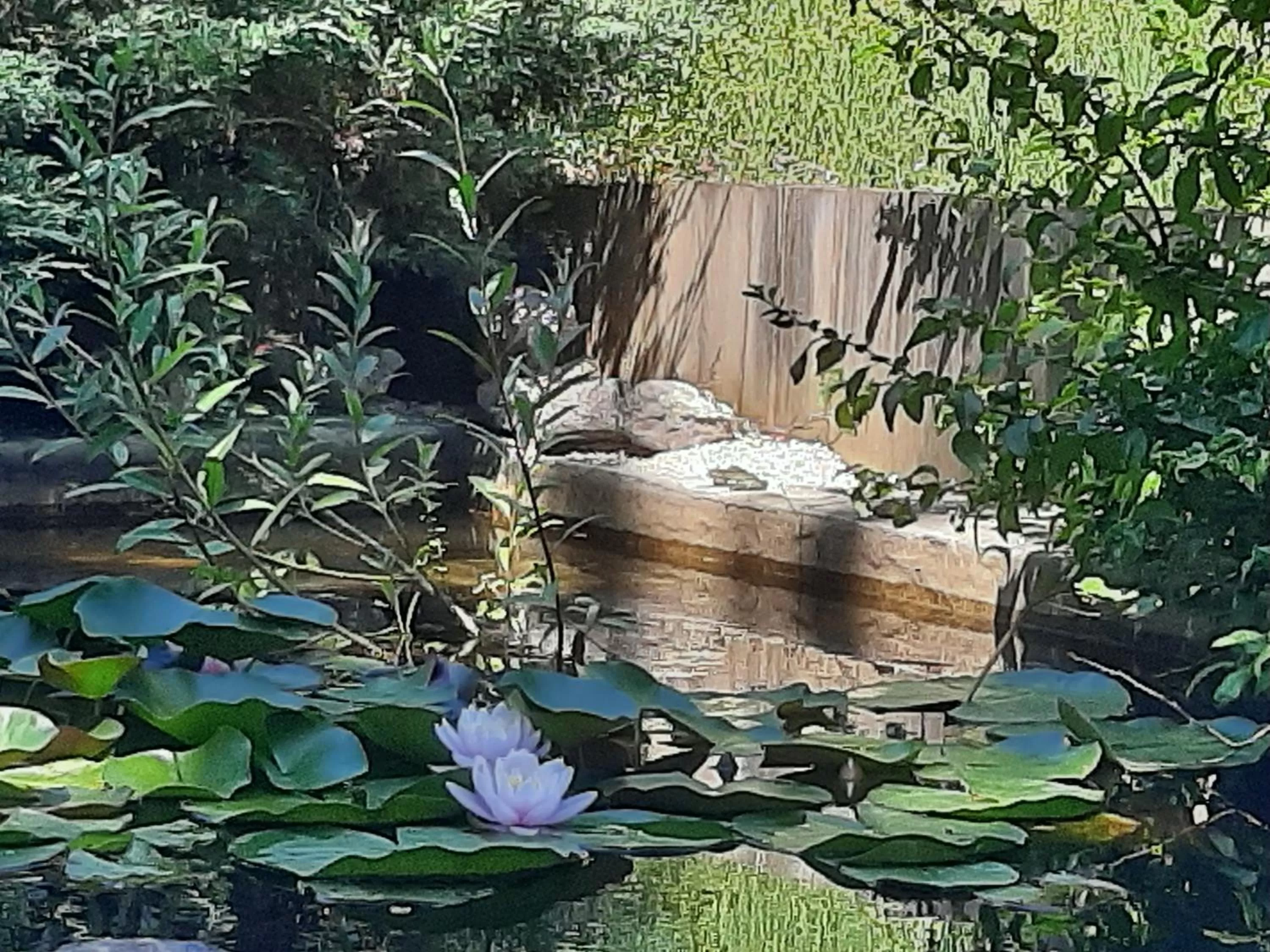 Natural landscape in Le Clos du Bois Joli