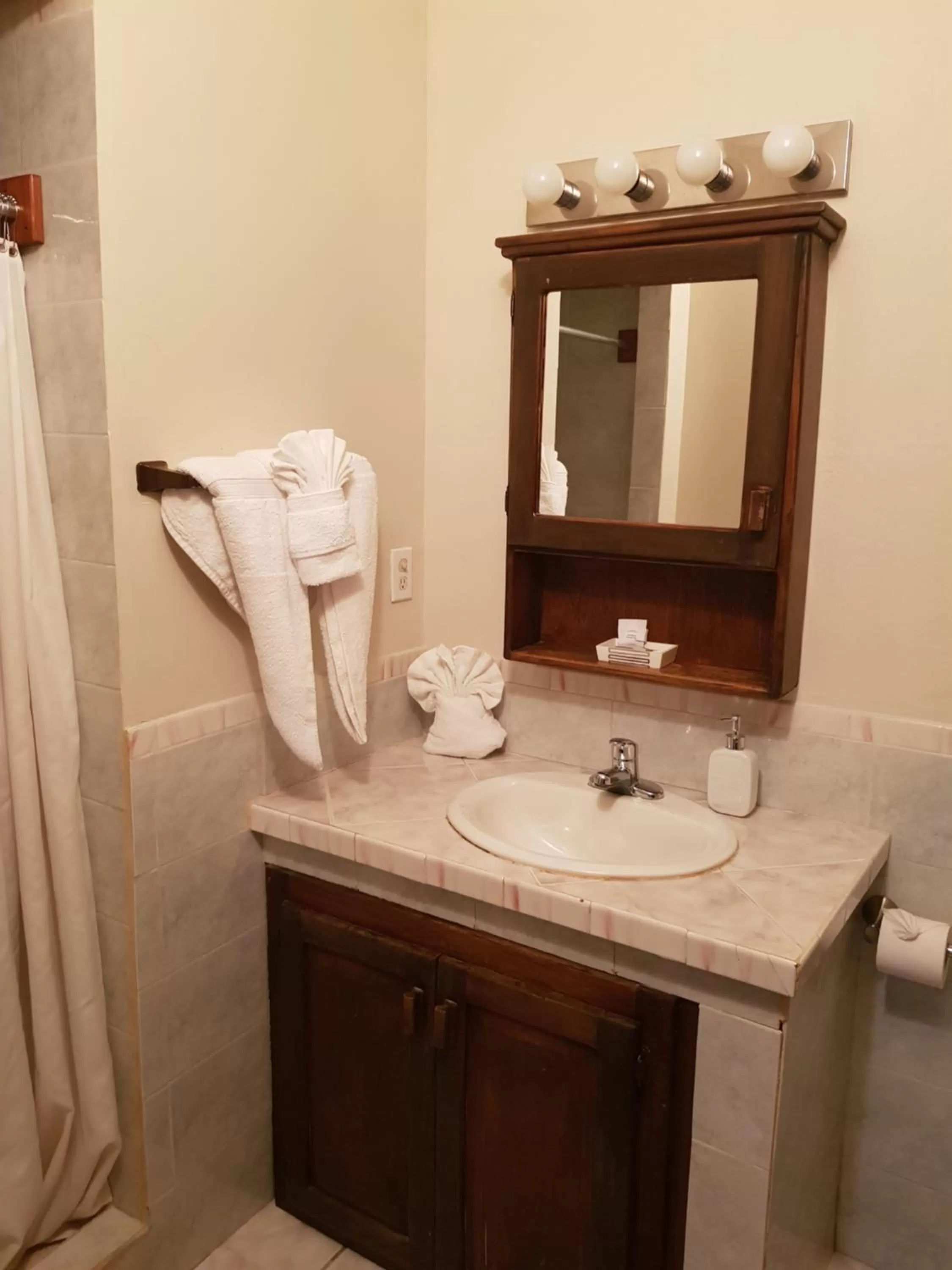 Bathroom in Wild Orchid