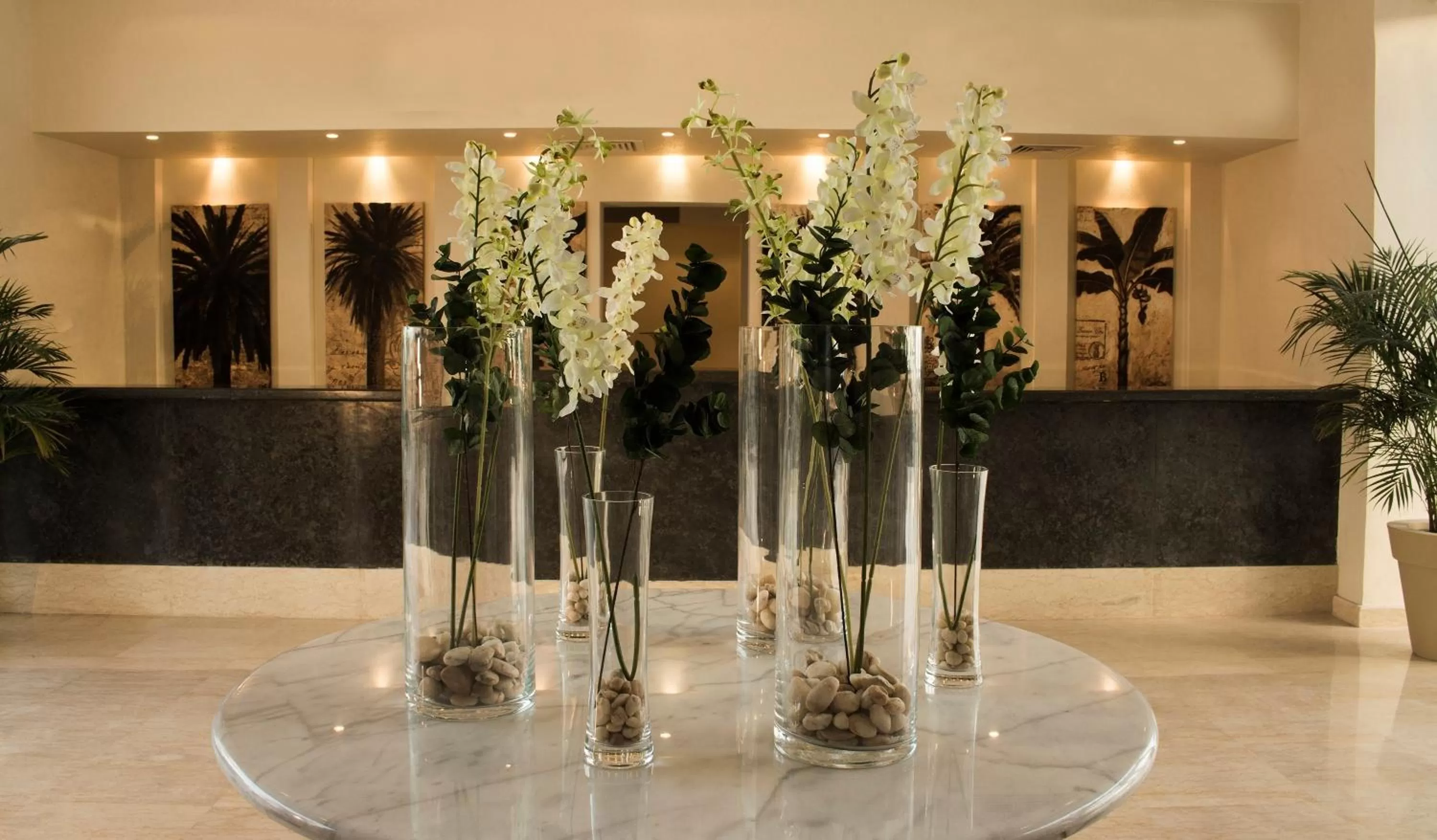 Lobby or reception in JAZ Neo Naama Bay