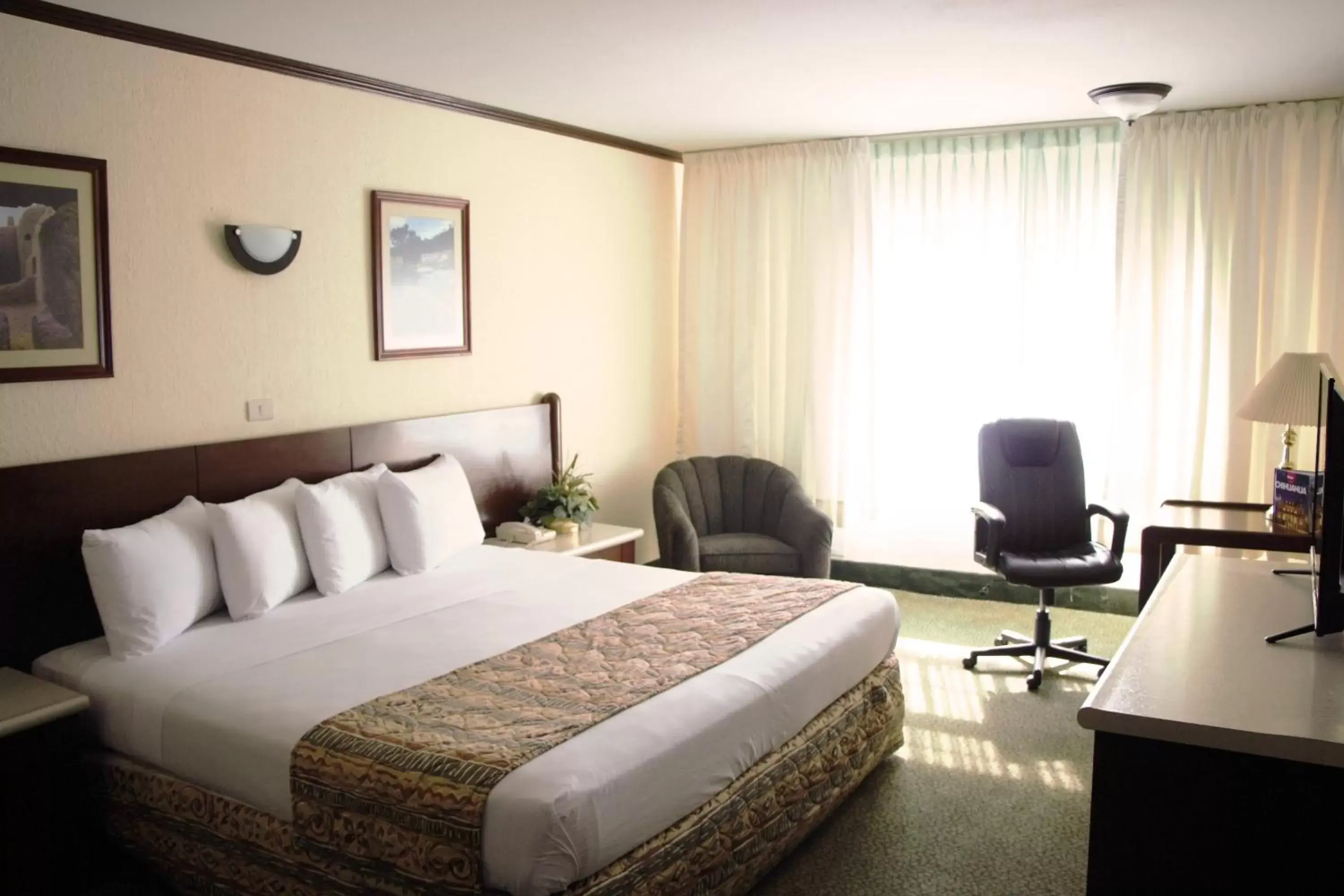 King Room in Hotel Sicomoro King Room in Hotel Sicomoro