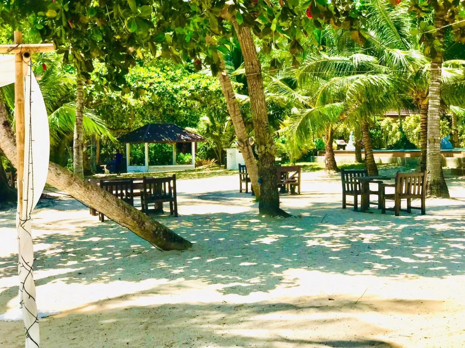 Natural landscape in Am Samui Resort Taling Ngam