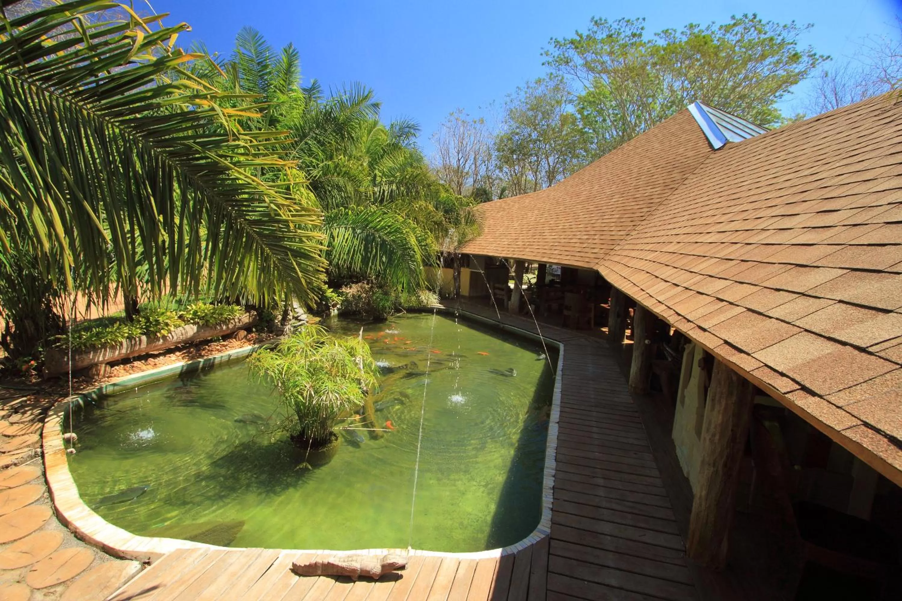 Garden view, Pool View in Hotel Cabanas