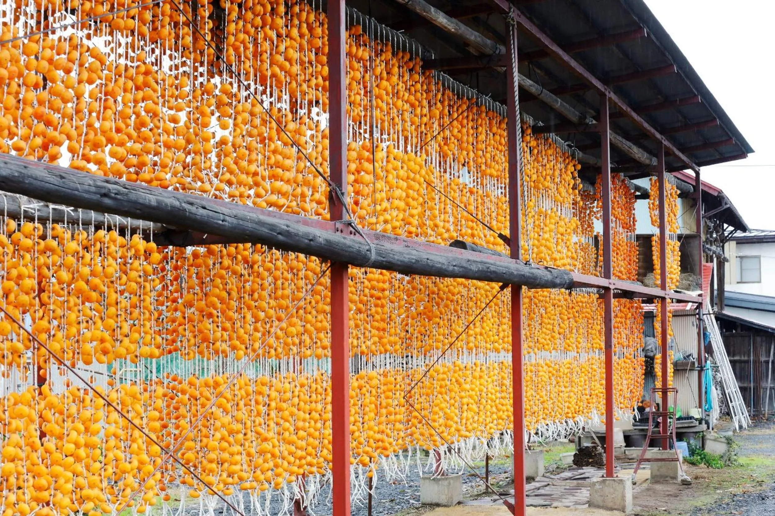 Day in Senkeien Tsukioka Hotel