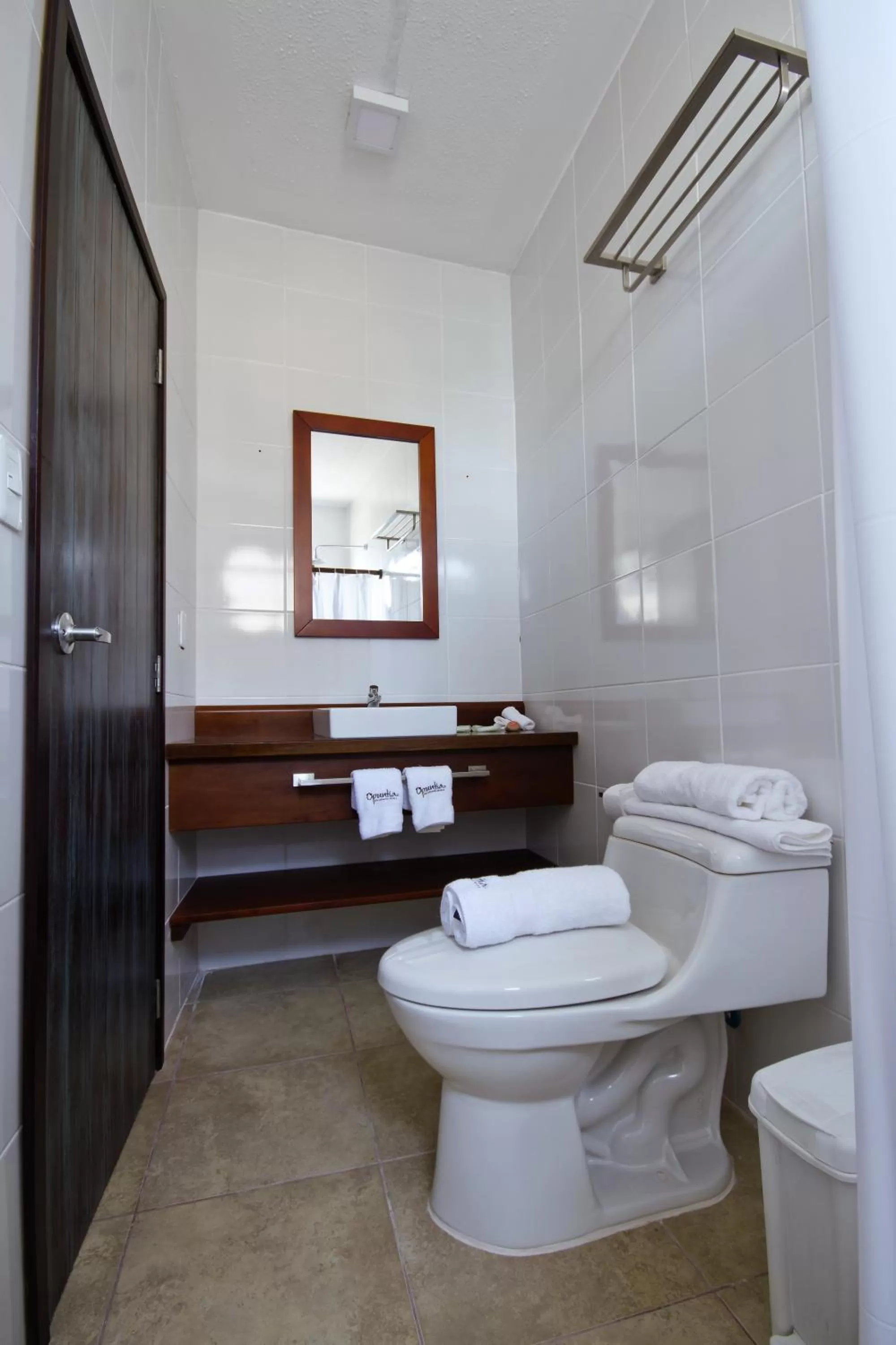 Bathroom in Hotel Volcano