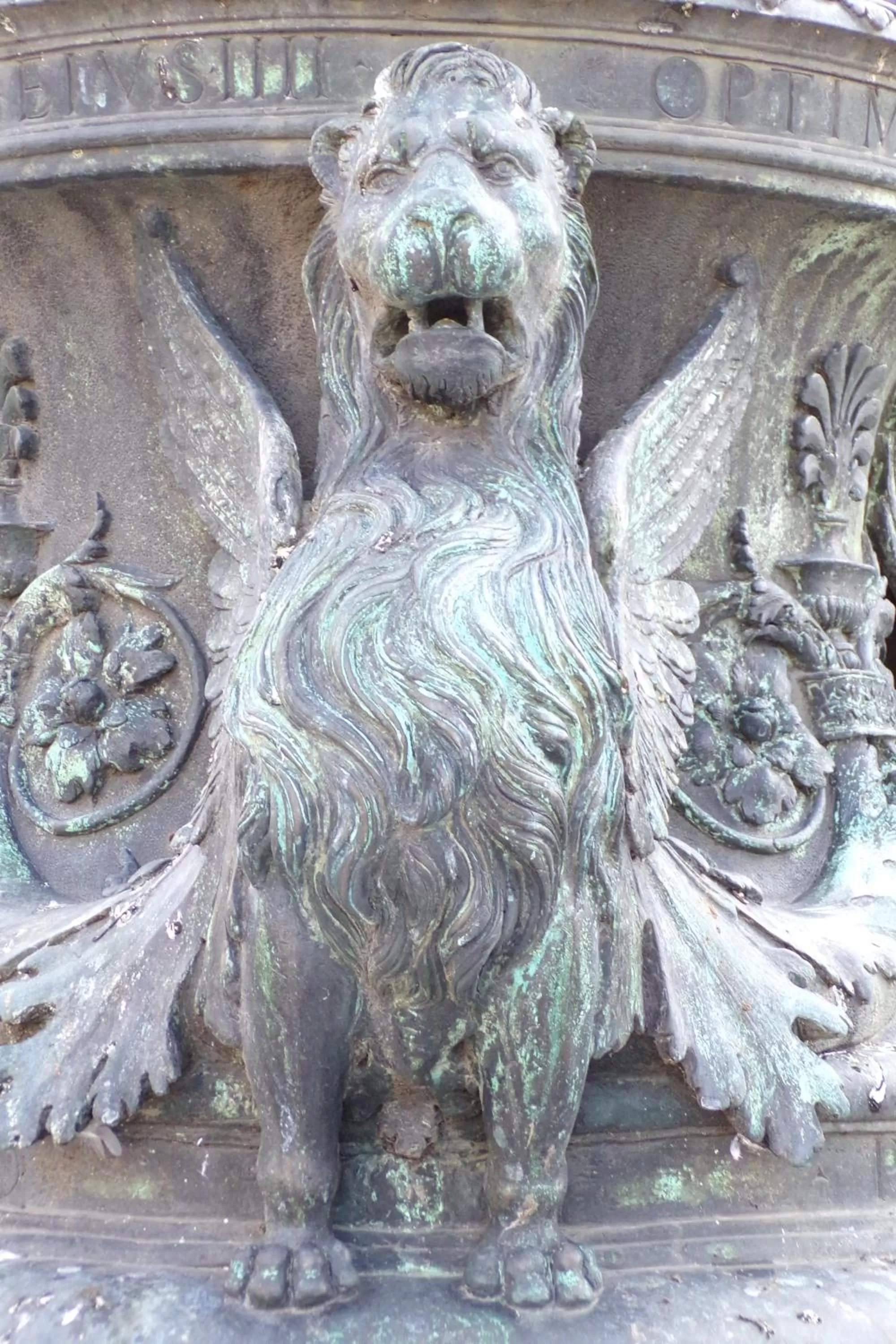 Other Animals in Casa Venier