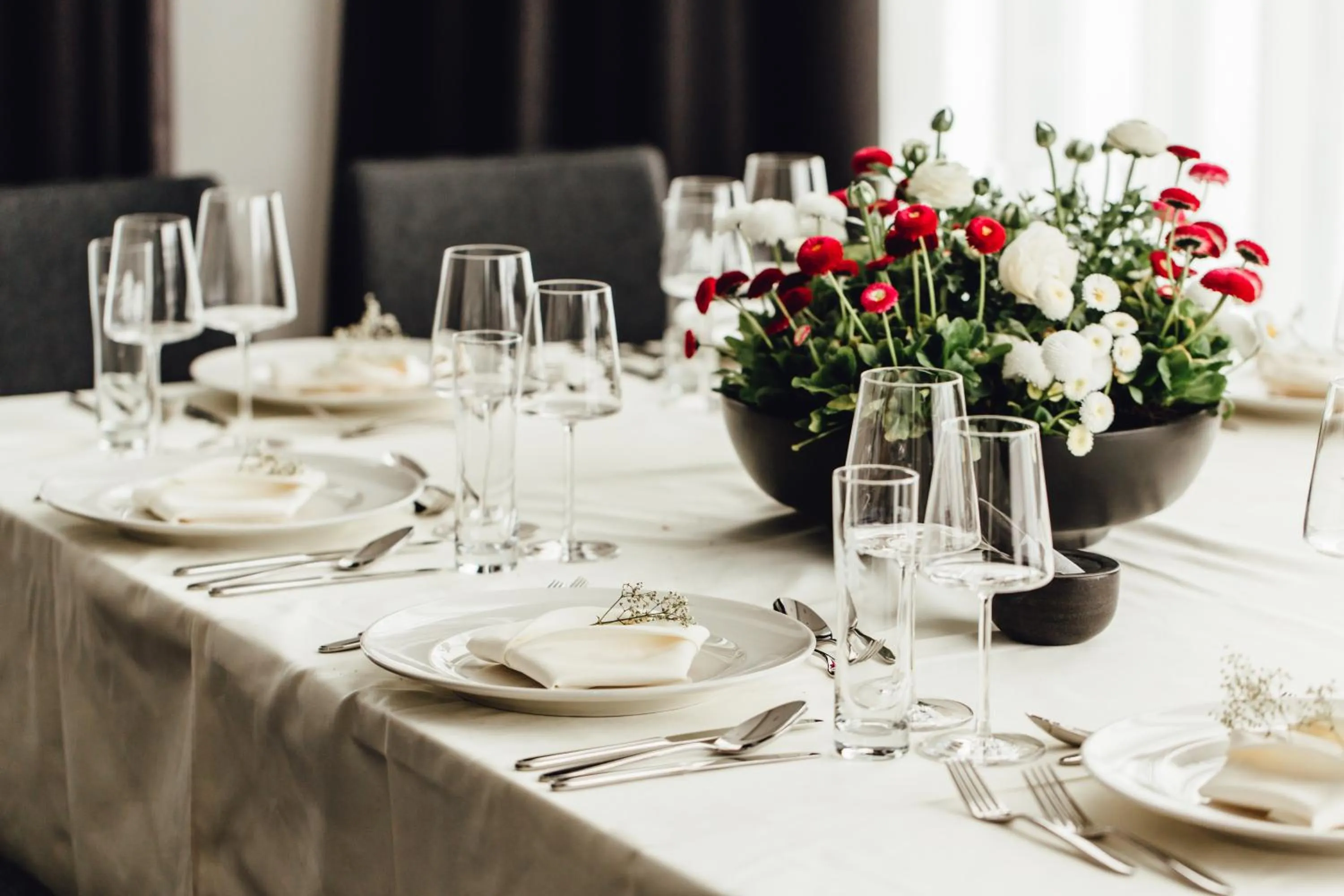 Banquet/Function facilities in Hotel Edita