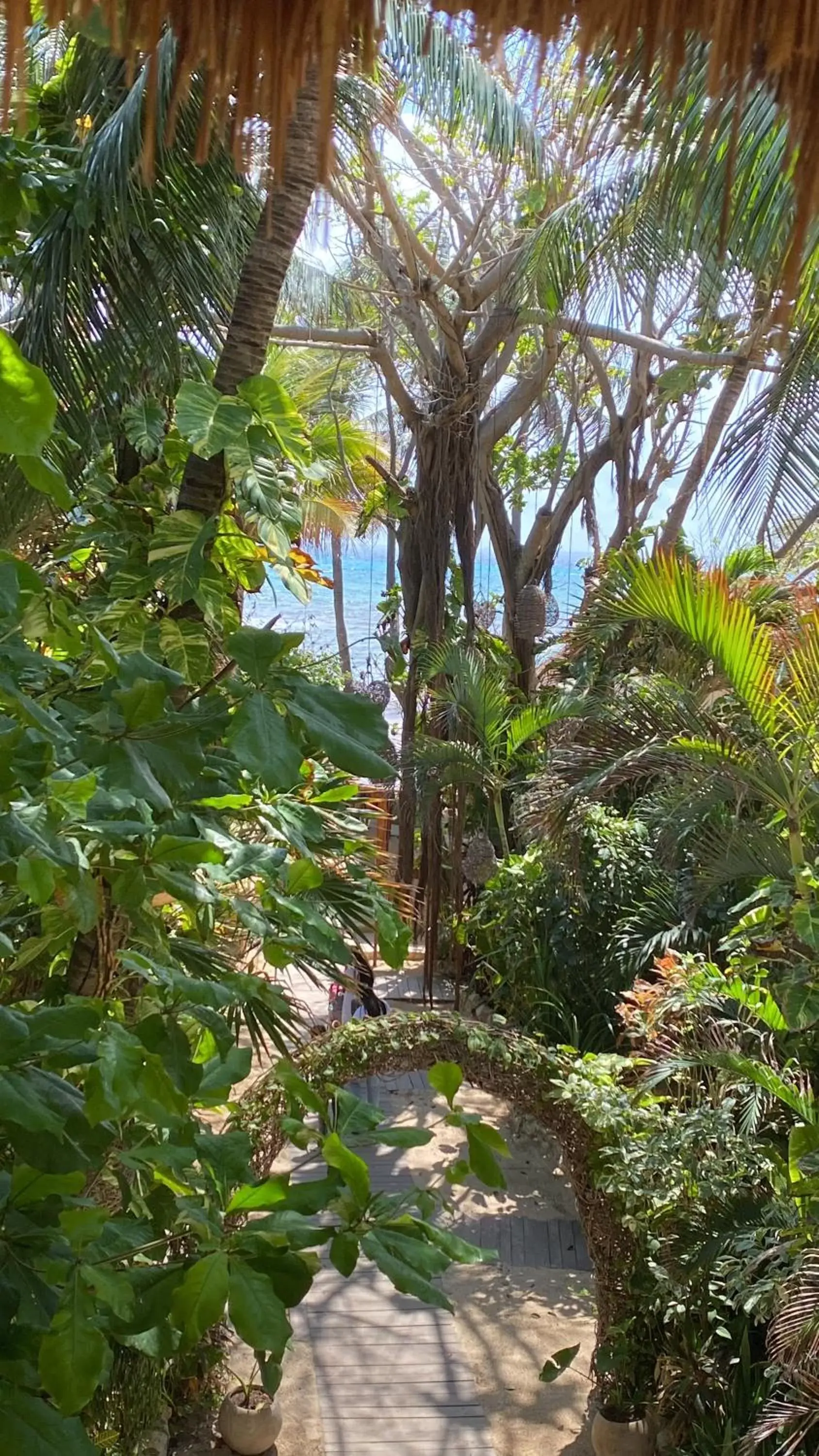 Superior Twin Room with Sea View in Hotel Casa Colibri Superior Twin Room with Sea View in Hotel Casa Colibri