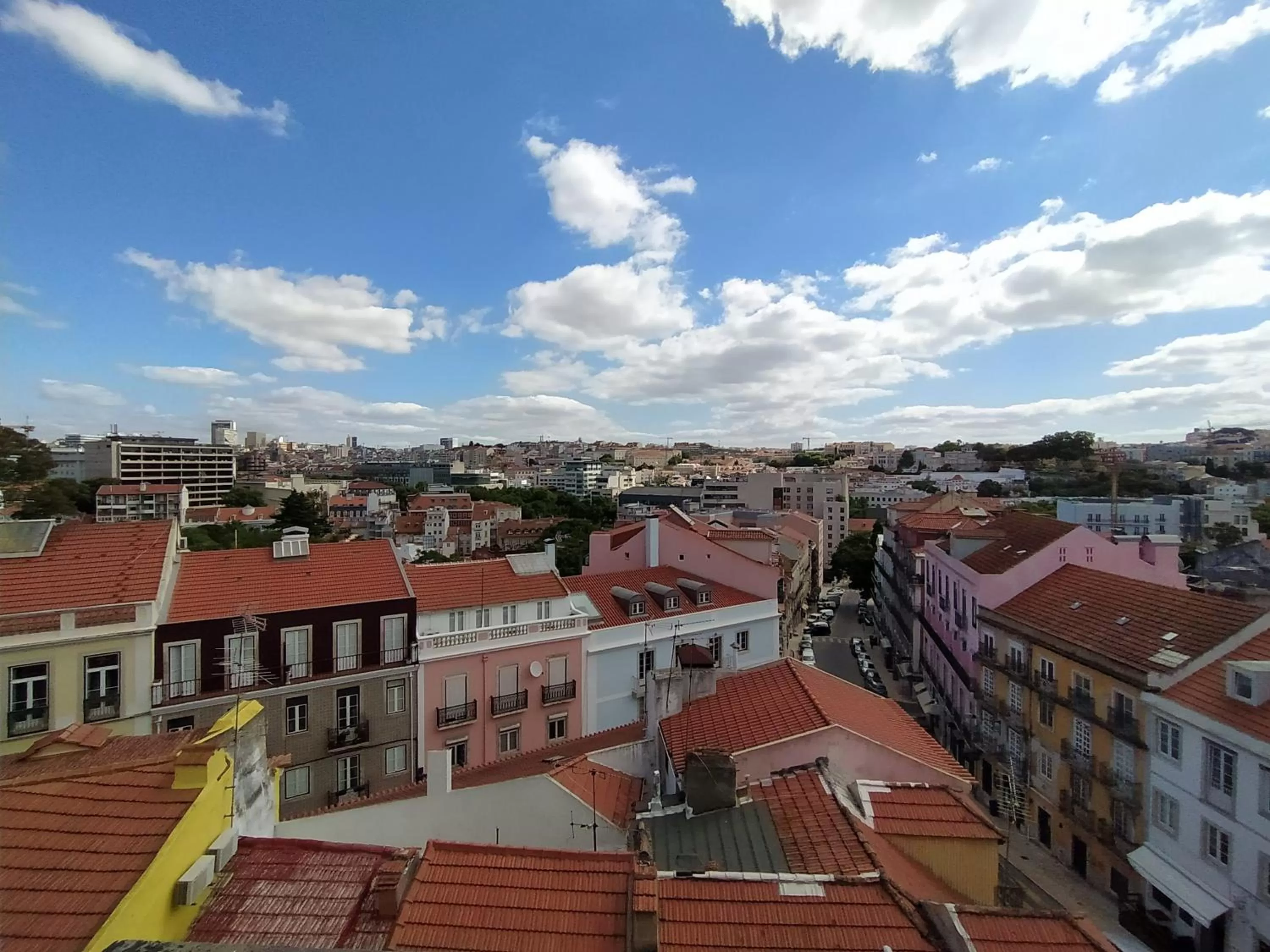 Neighbourhood in Hotel Botanico