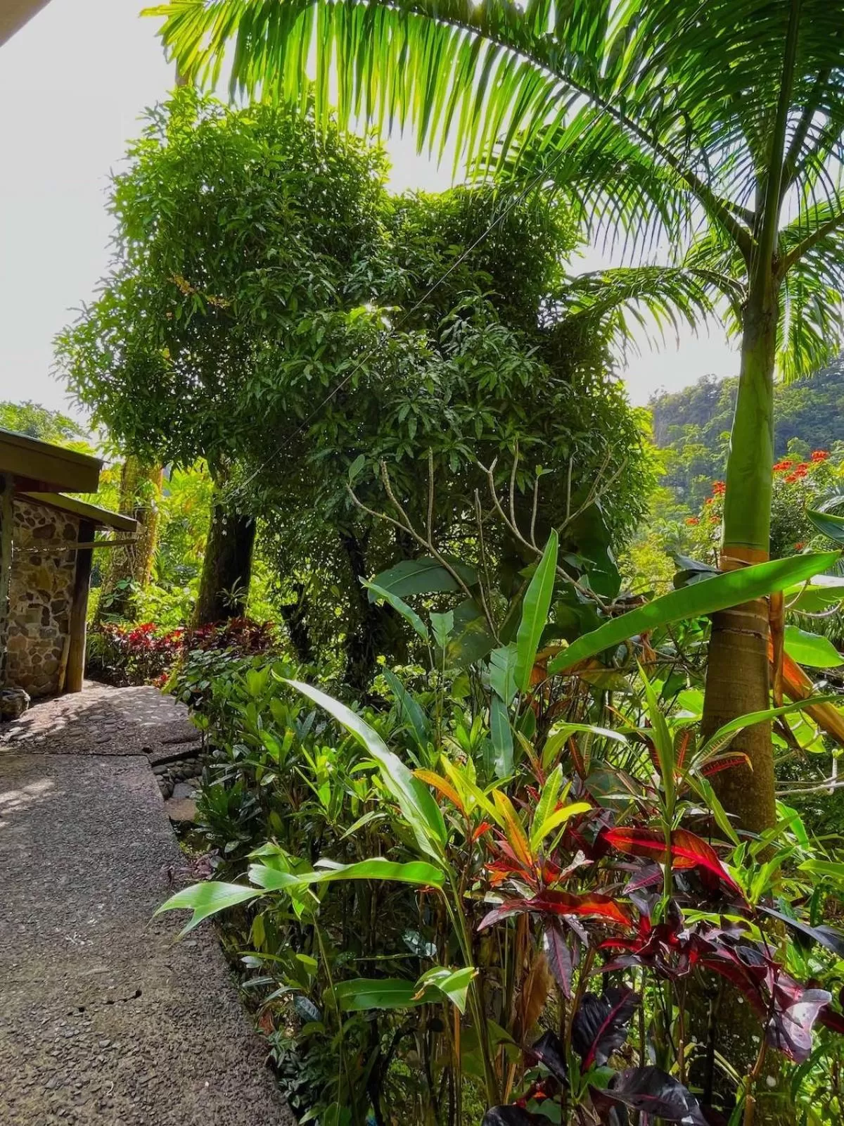 View (from property/room) in Cocoa Cottage