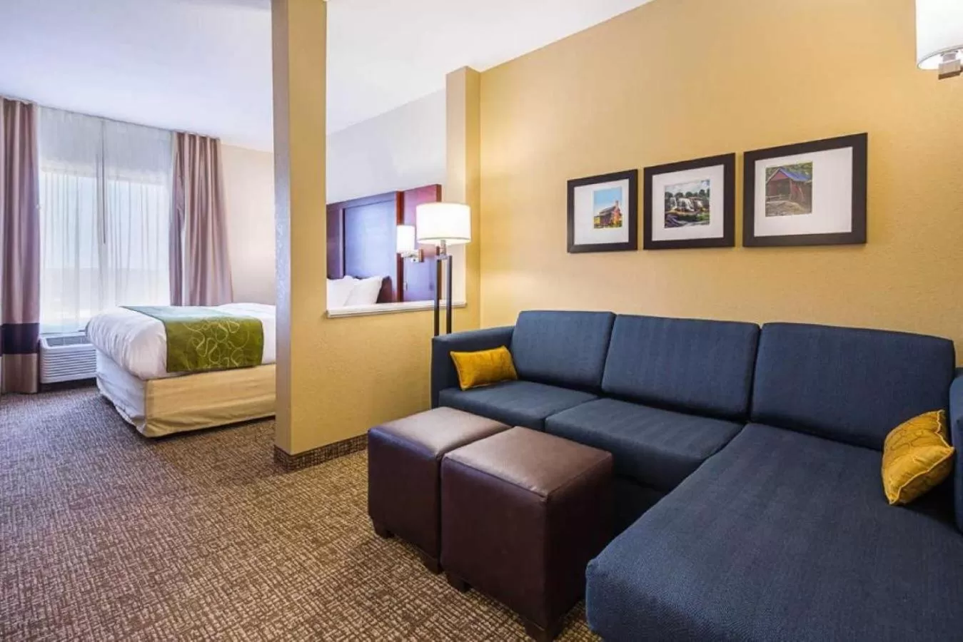 Photo of the whole room in Comfort Suites Piedmont - Greenville South