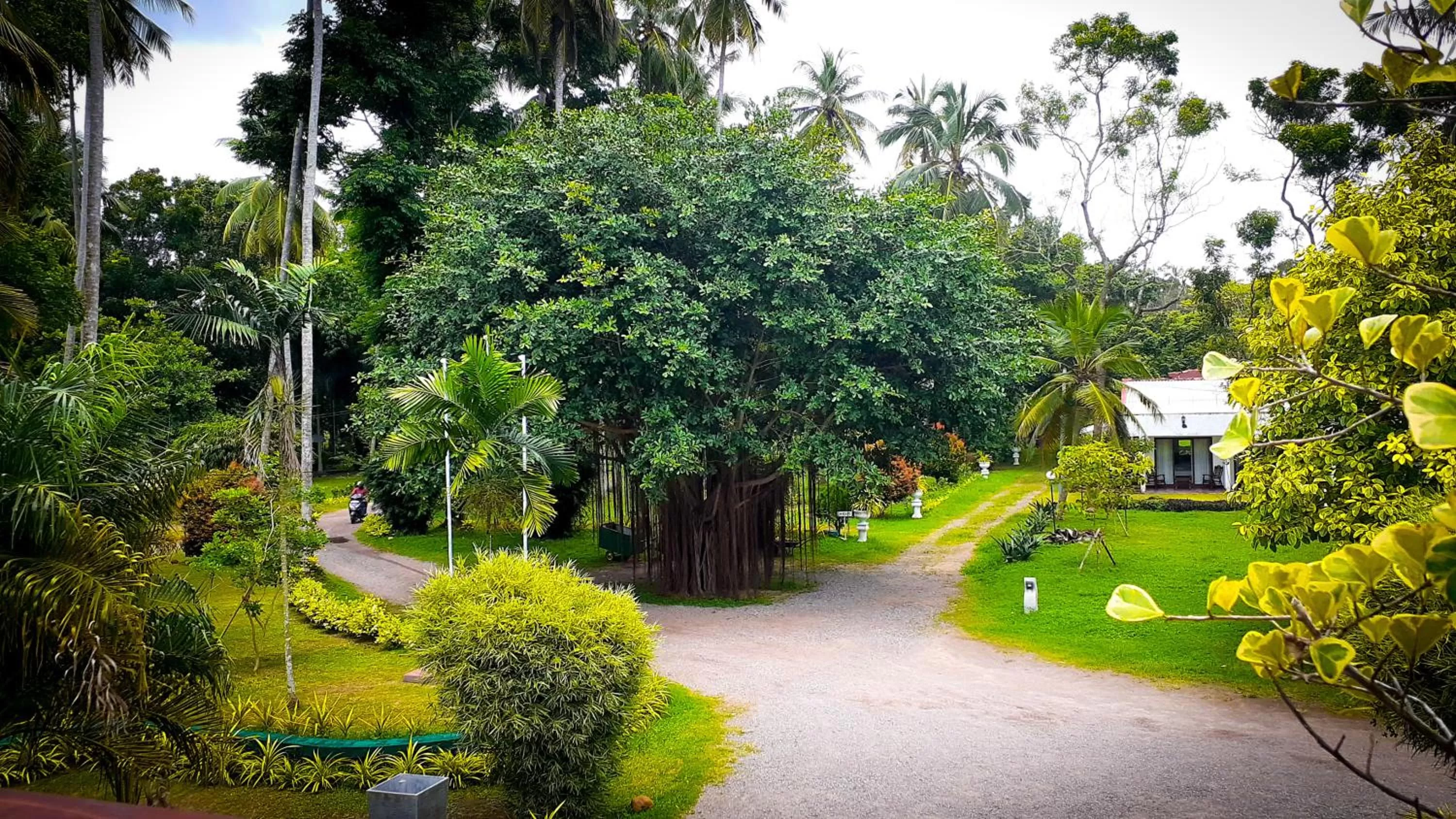 Garden in Oreeka - Katunayake Airport Transit Hotels