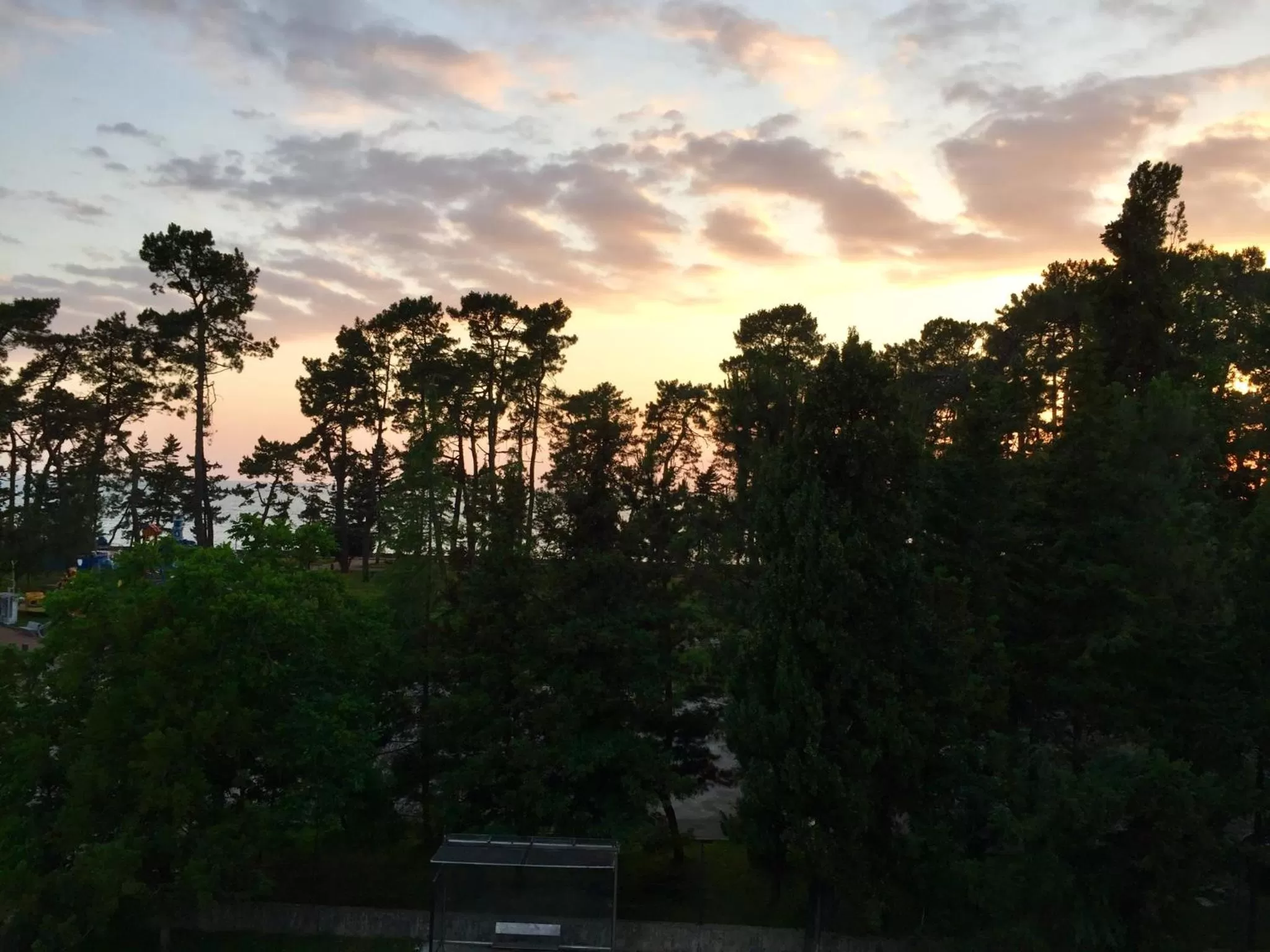 Natural landscape in Hotel BellMar