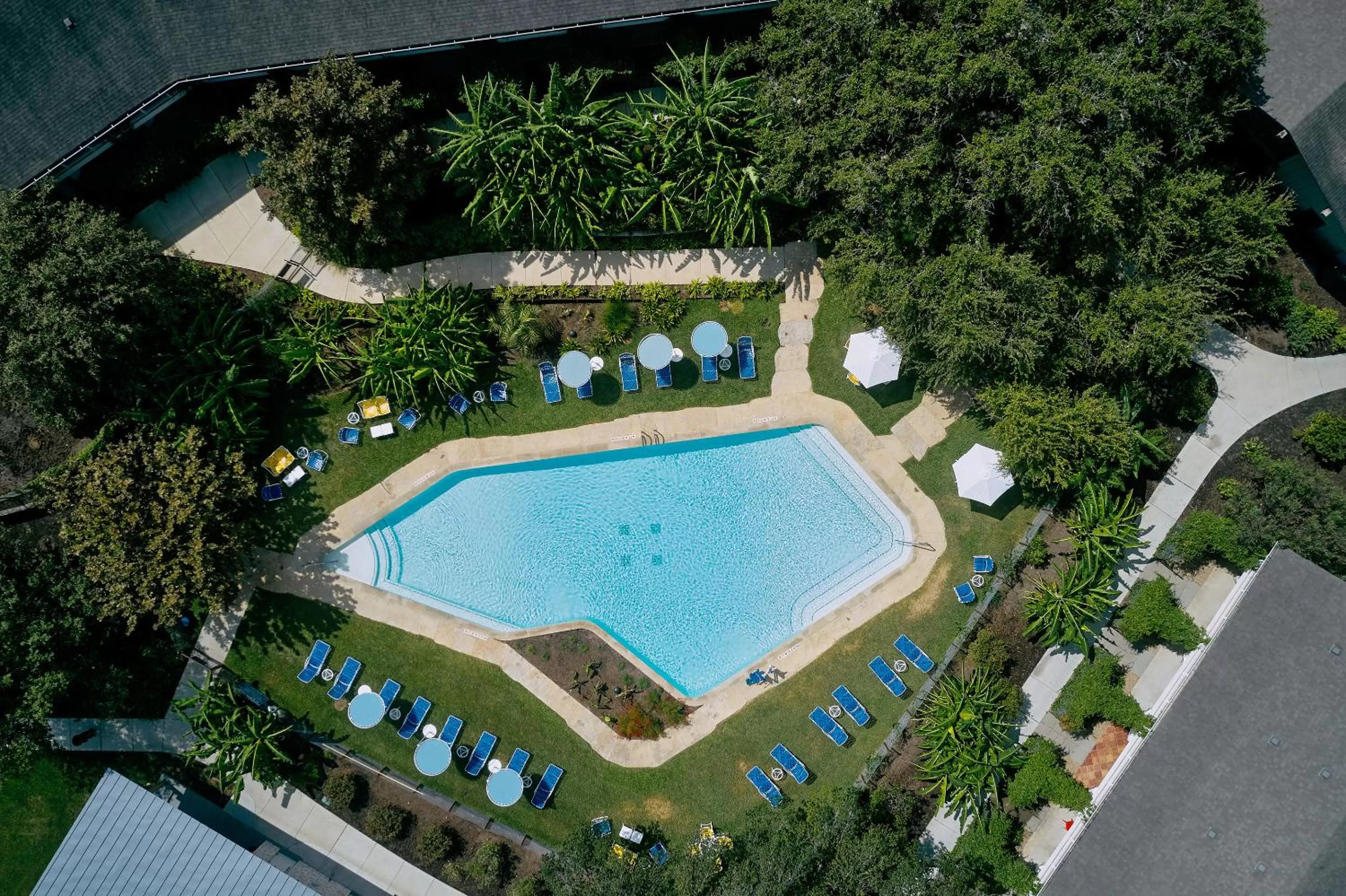 Swimming pool, Pool View in Shady Villa Hotel