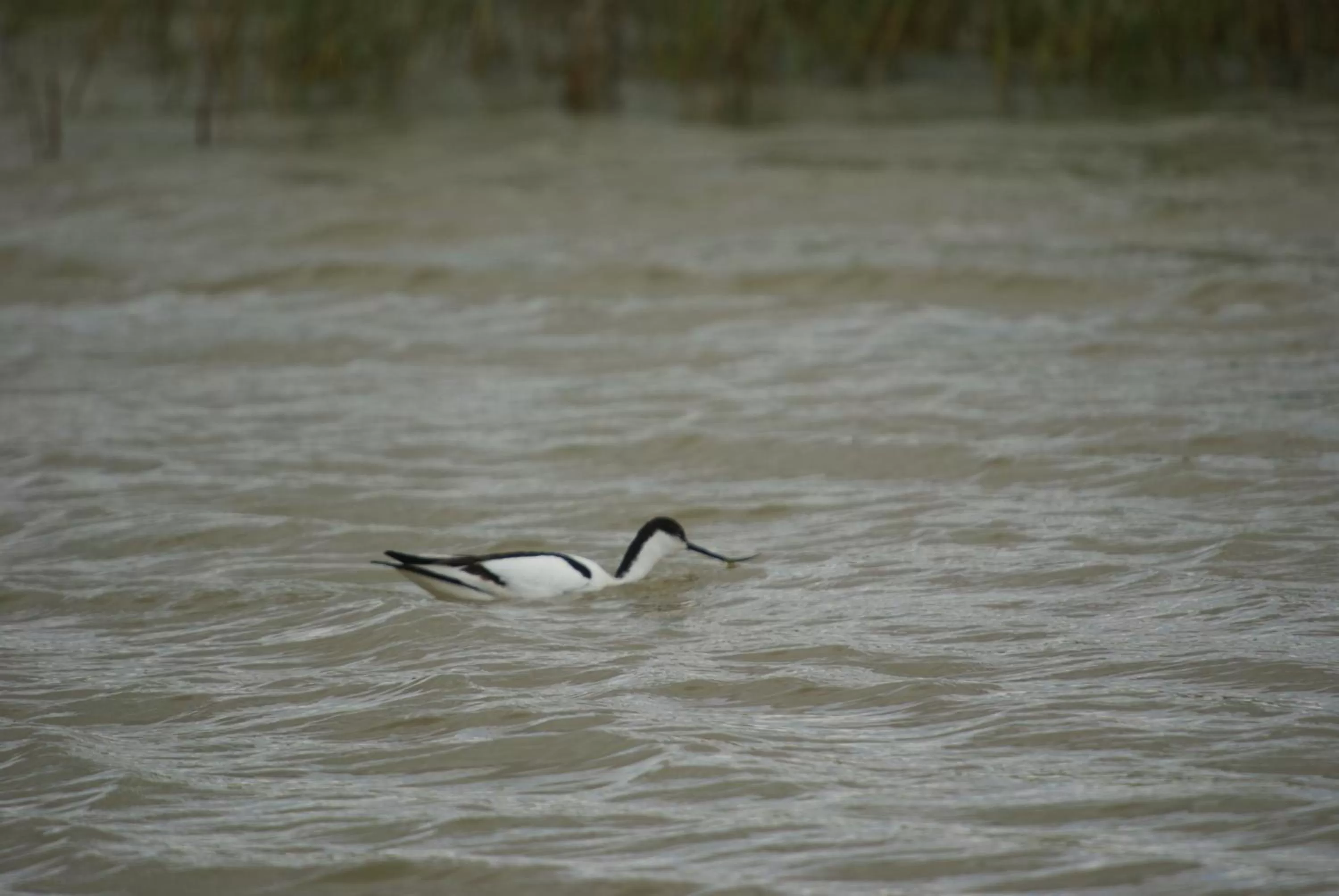 Activities in Finca El Romeral