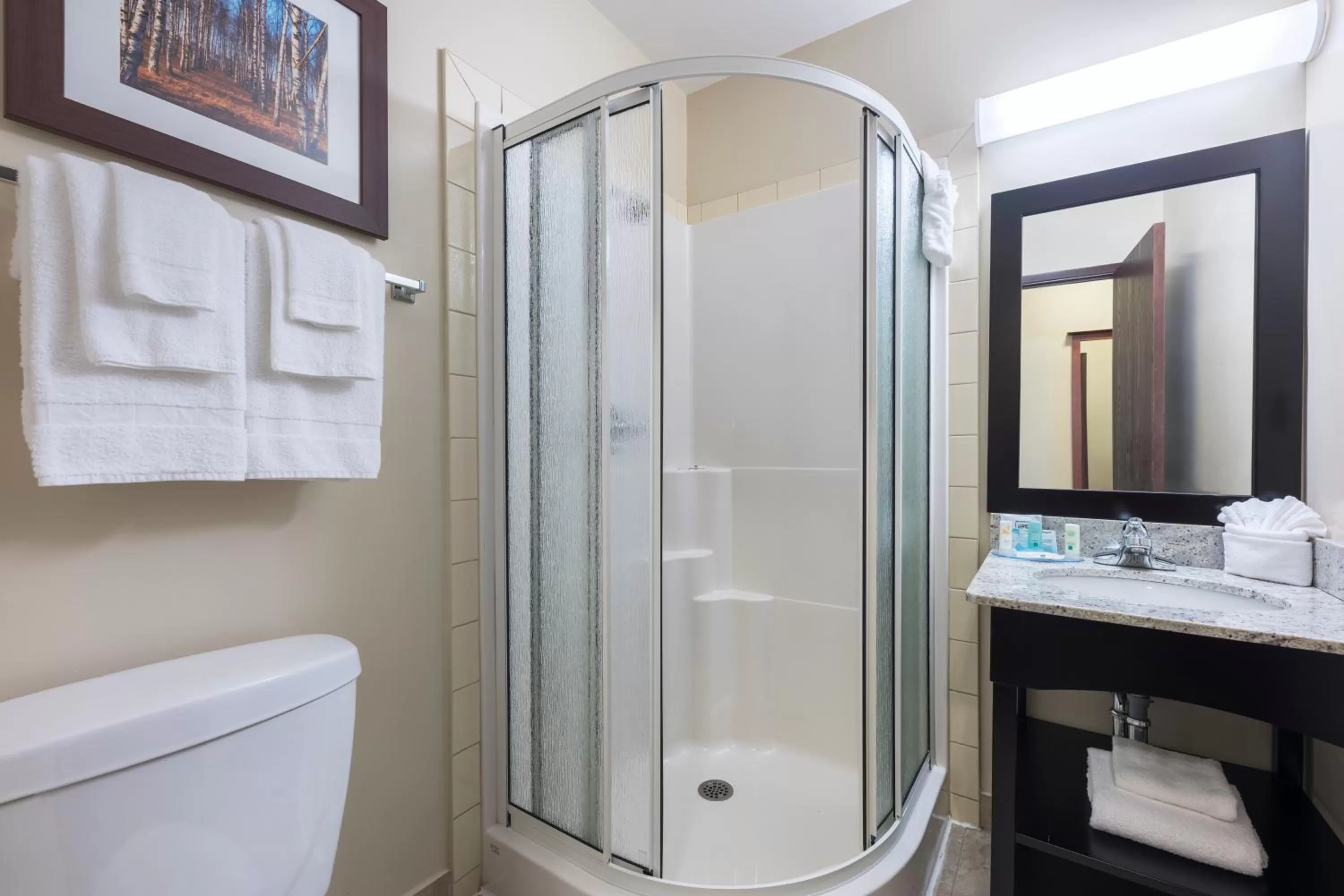 King Room with Hot Tub and Sofa bed - Non-Smoking in Quality Inn Airport