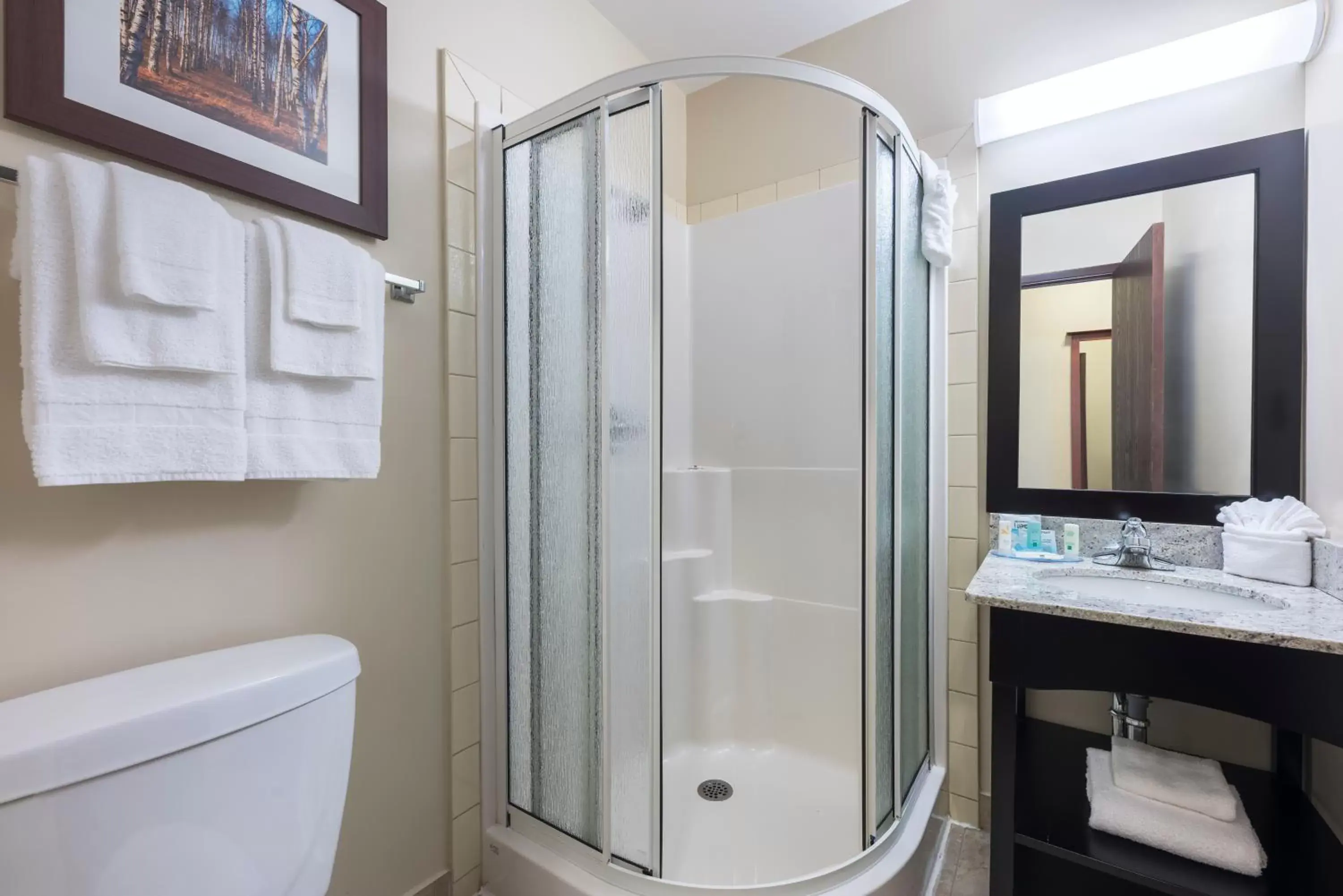 King Room with Hot Tub and Sofa bed - Non-Smoking in Quality Inn Airport King Room with Hot Tub and Sofa bed - Non-Smoking in Quality Inn Airport