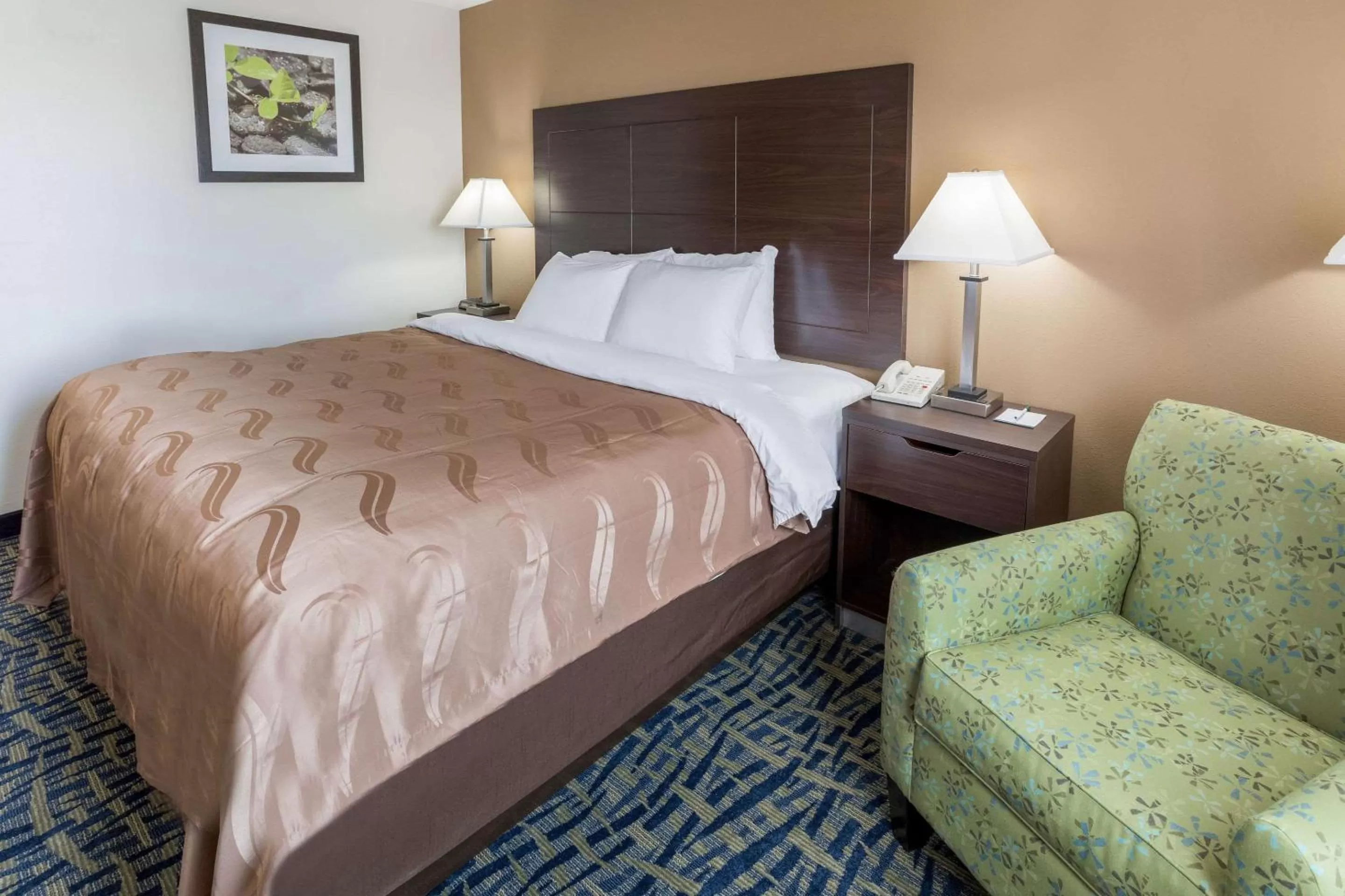 Photo of the whole room, Bed in Quality Inn Rochelle