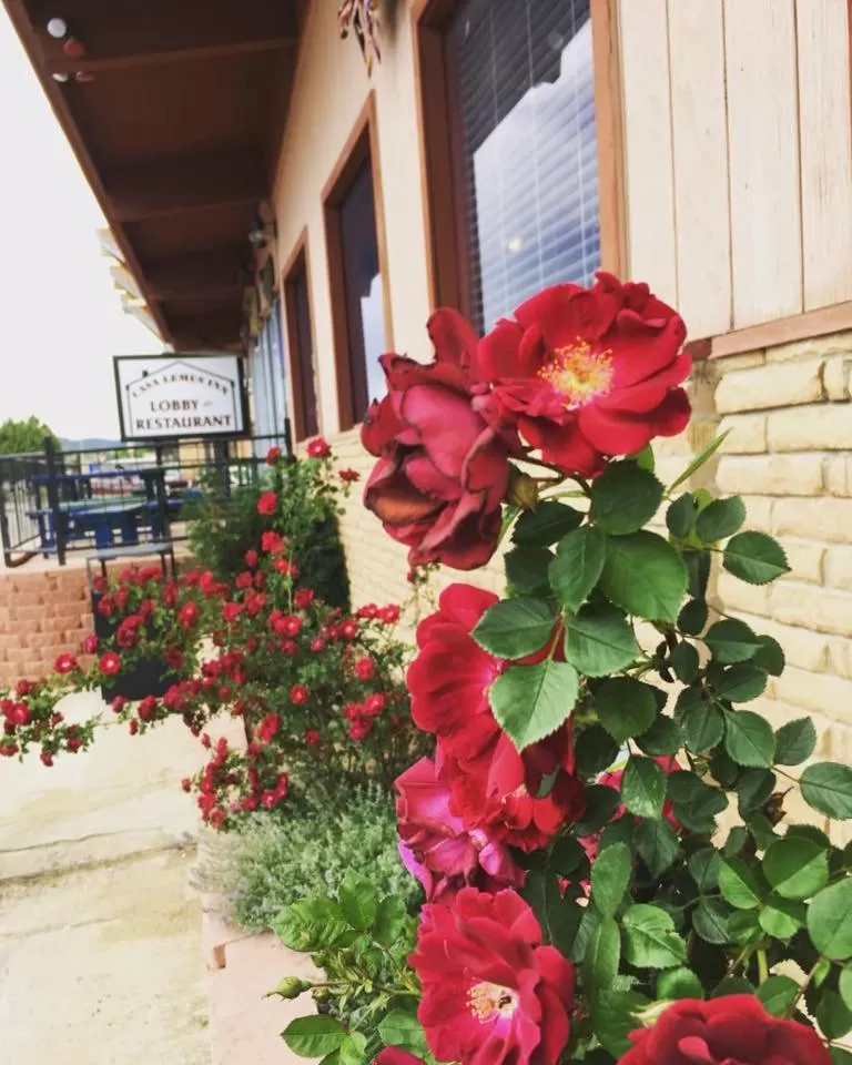 Patio in Howard Johnson by Wyndham Raton