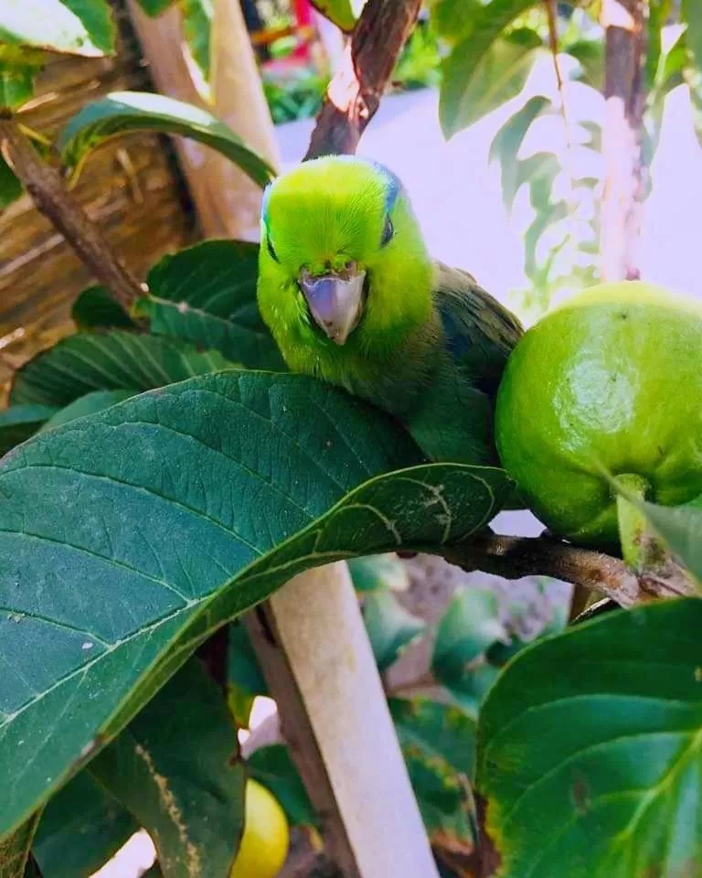 Natural landscape in Un Dia Boutique Resort