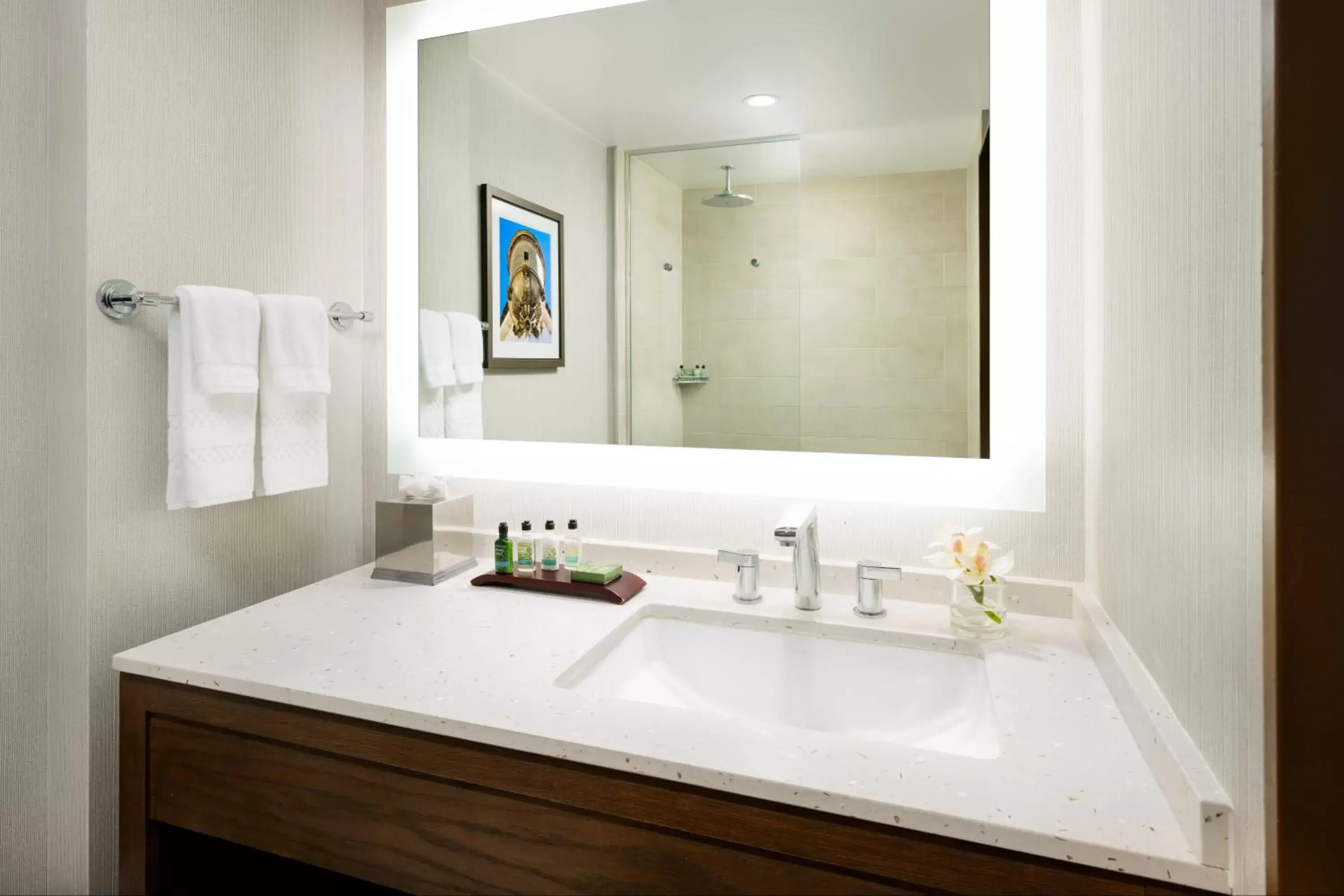 King Premium in The Anza-a Calabasas Hotel King Premium in The Anza-a Calabasas Hotel