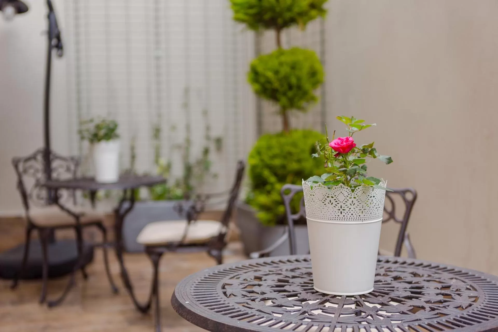 Garden in Hotel BLOOM Batumi