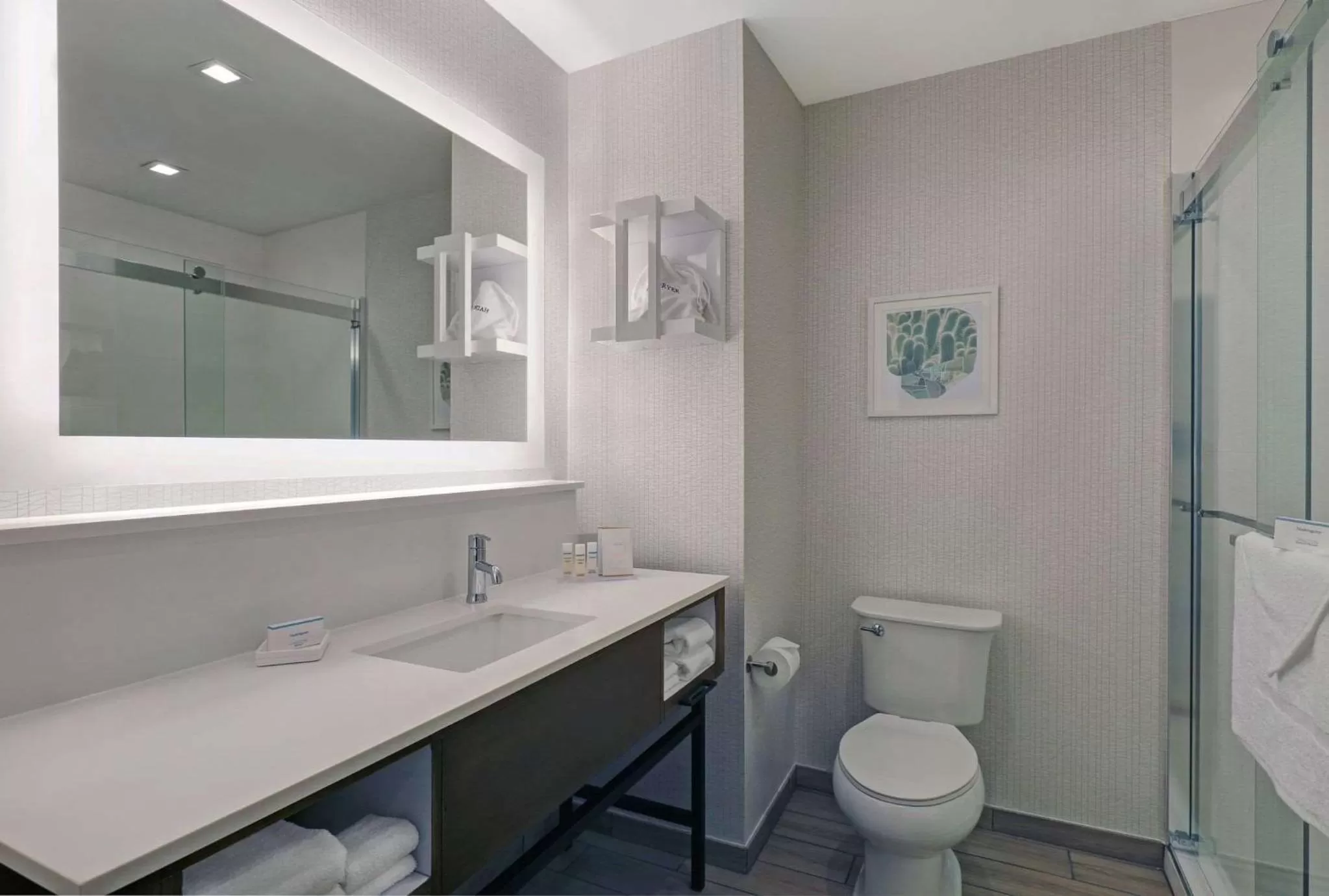 Bathroom in Hampton Inn Patterson, Ca