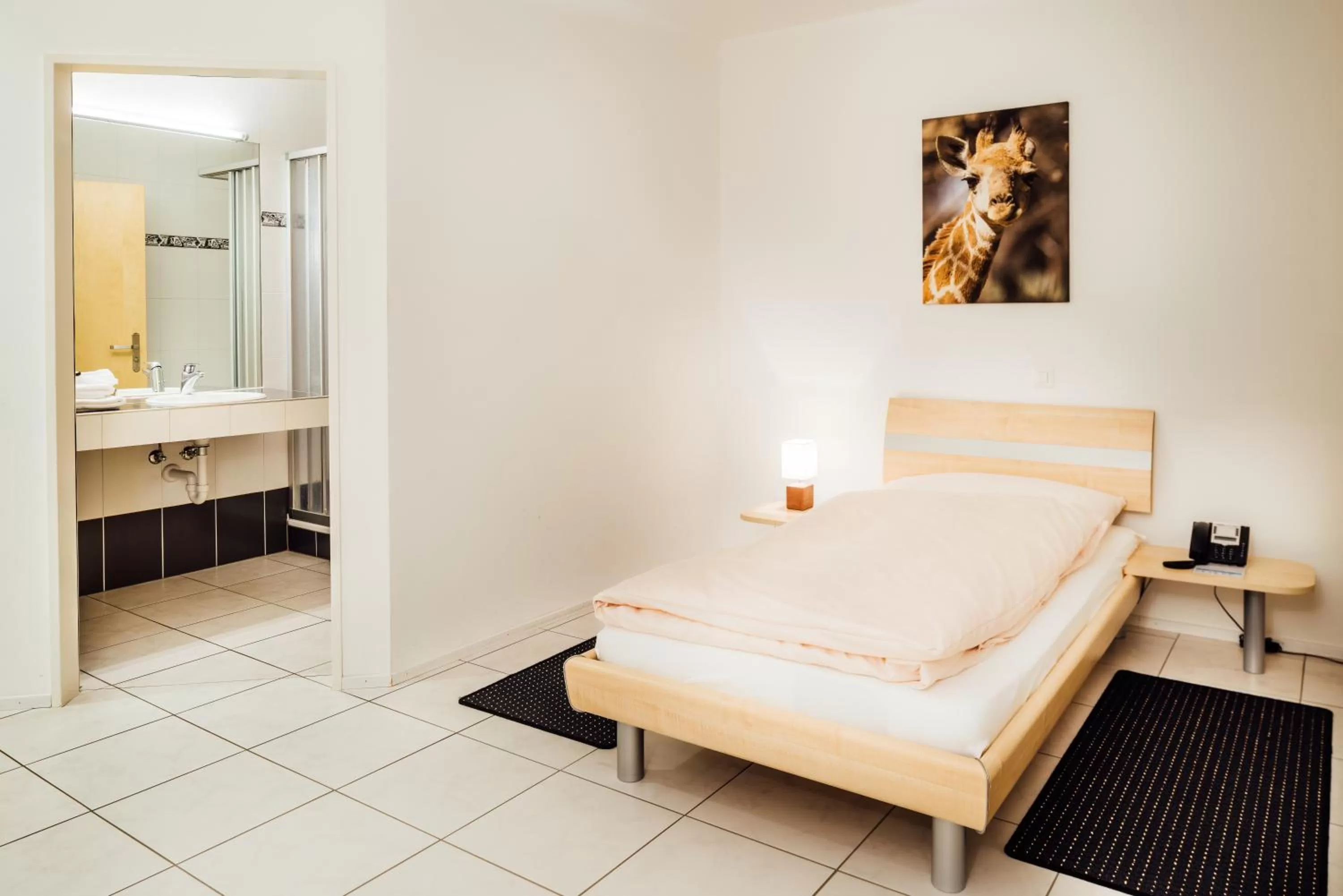 Single Room in flexymotel Buchs