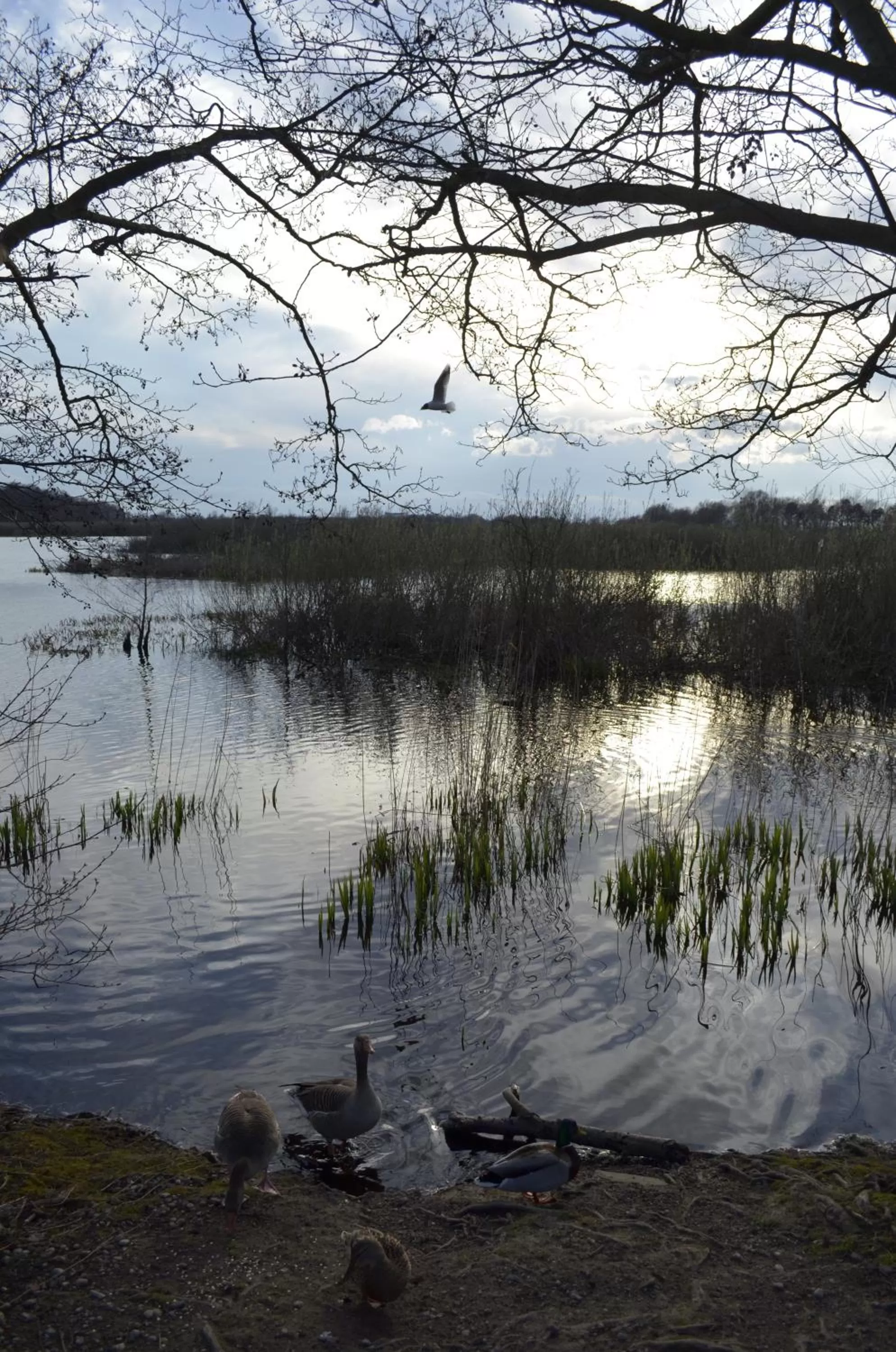 Off site in Hotel Mona Lisa Wellness & Spa