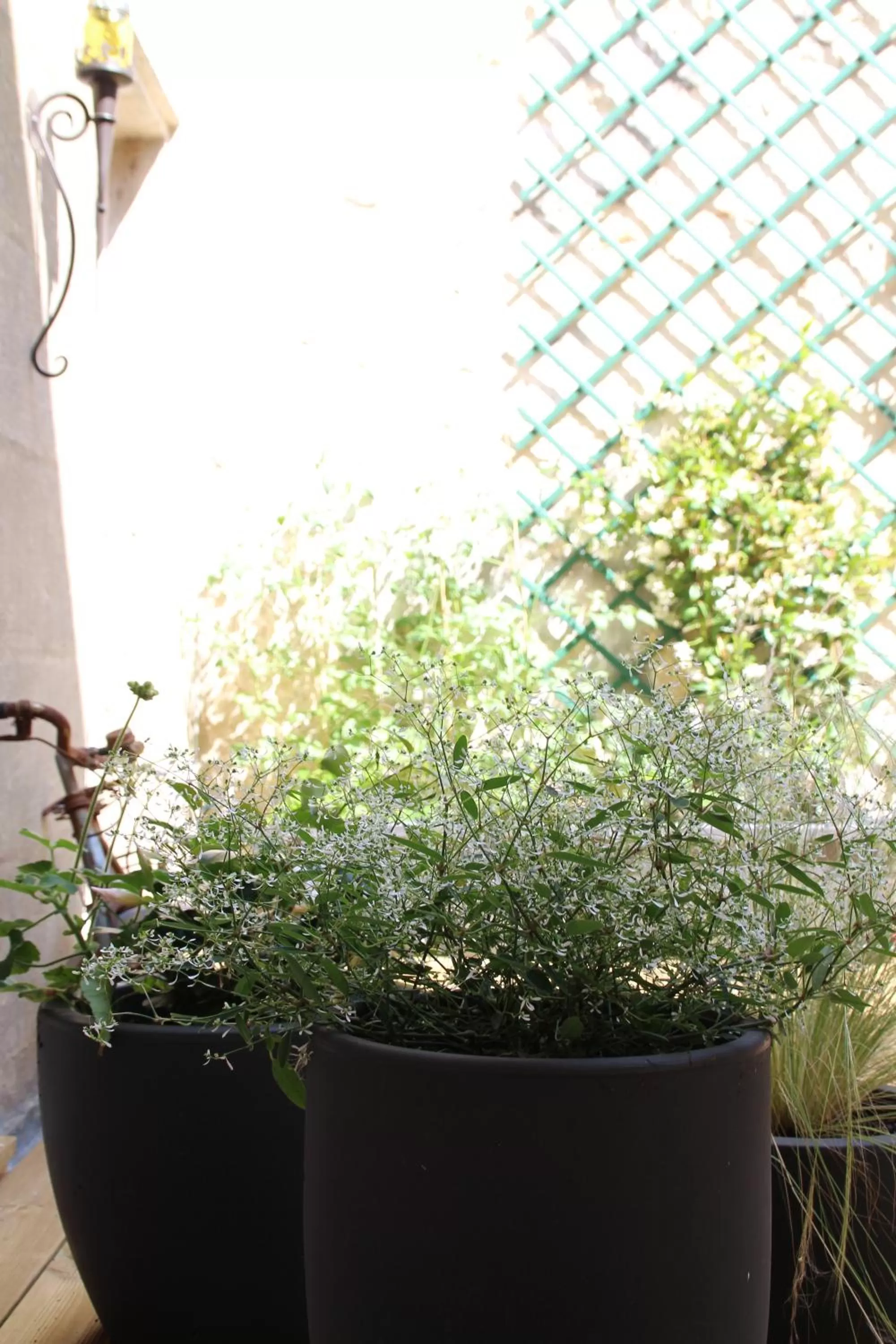 Decorative detail in Une Chambre en Ville