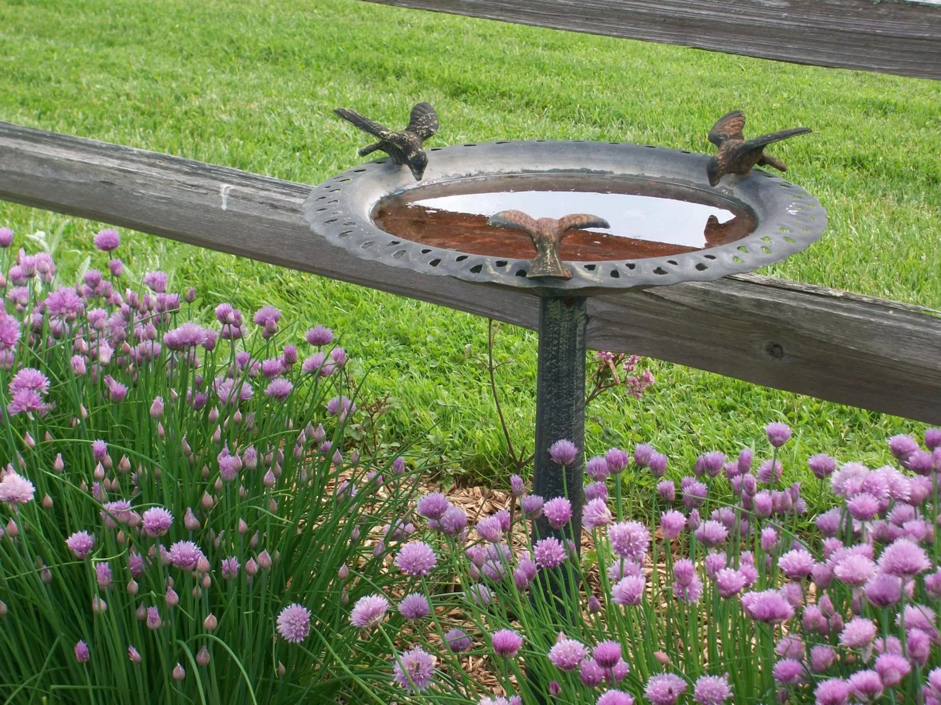 Garden in Inn & Spa at Cedar Falls