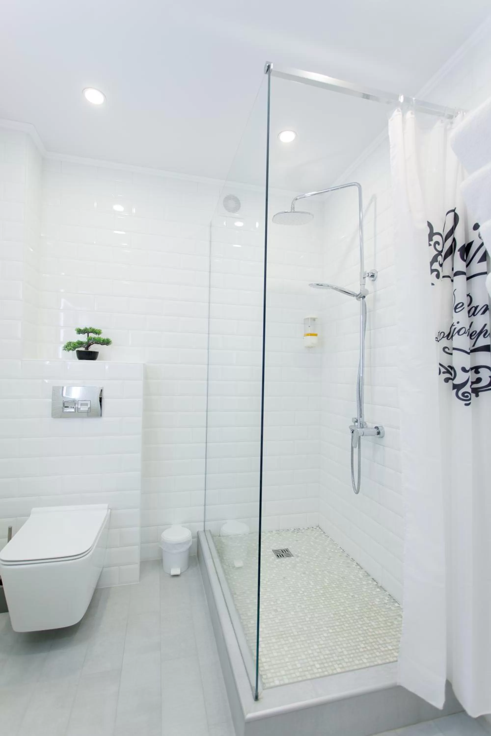 Toilet in Apart-Hotel LAVINA з ДЖАКУЗІ