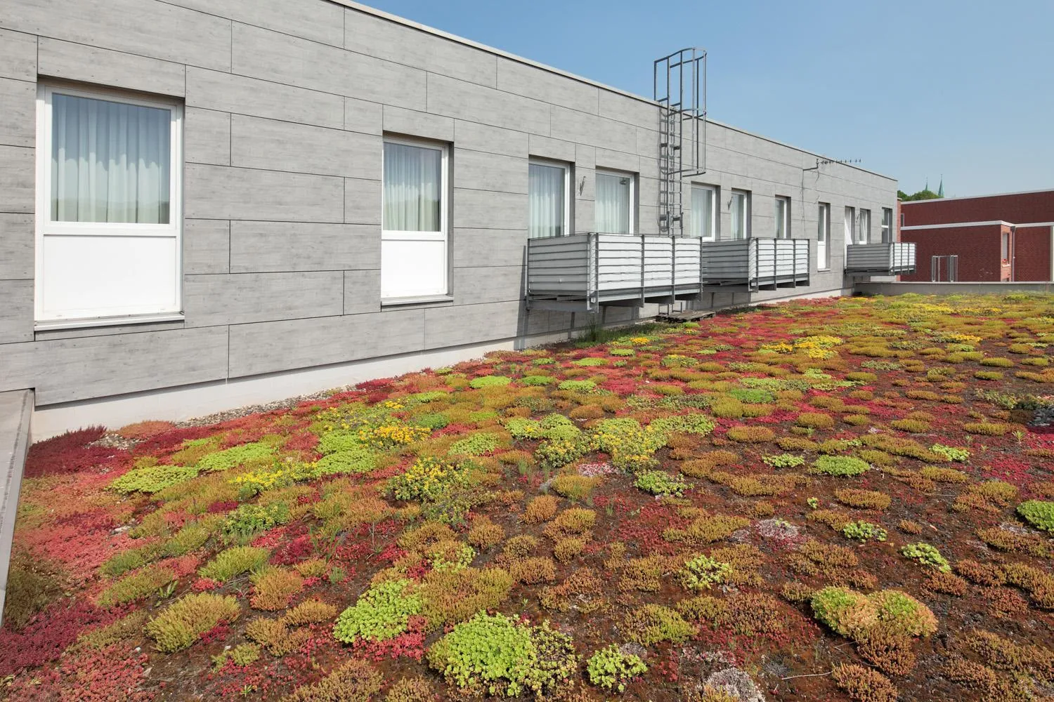 Balcony/Terrace in Petul Apart Hotel Residenz