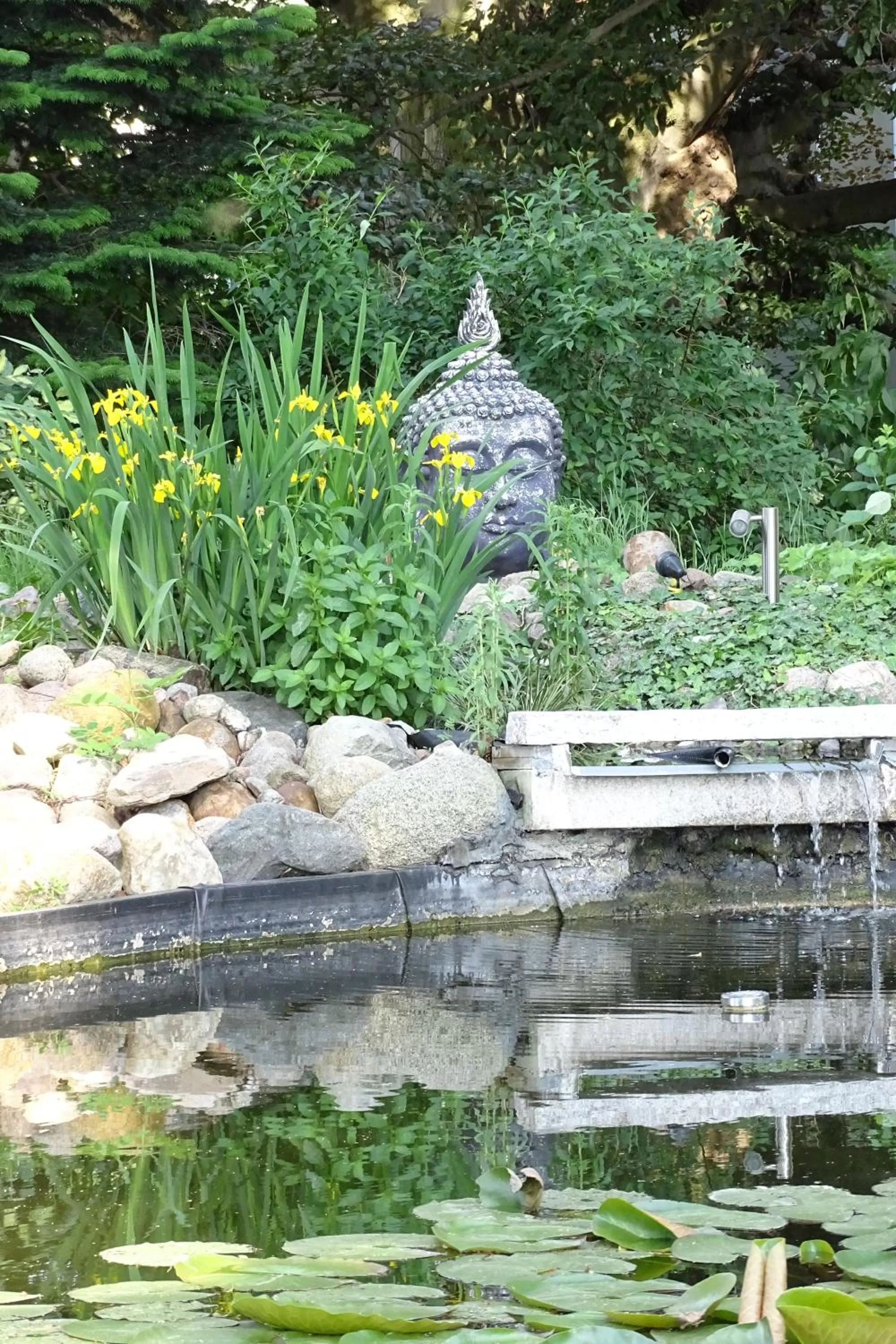 Natural landscape in Lübecker Krönchen