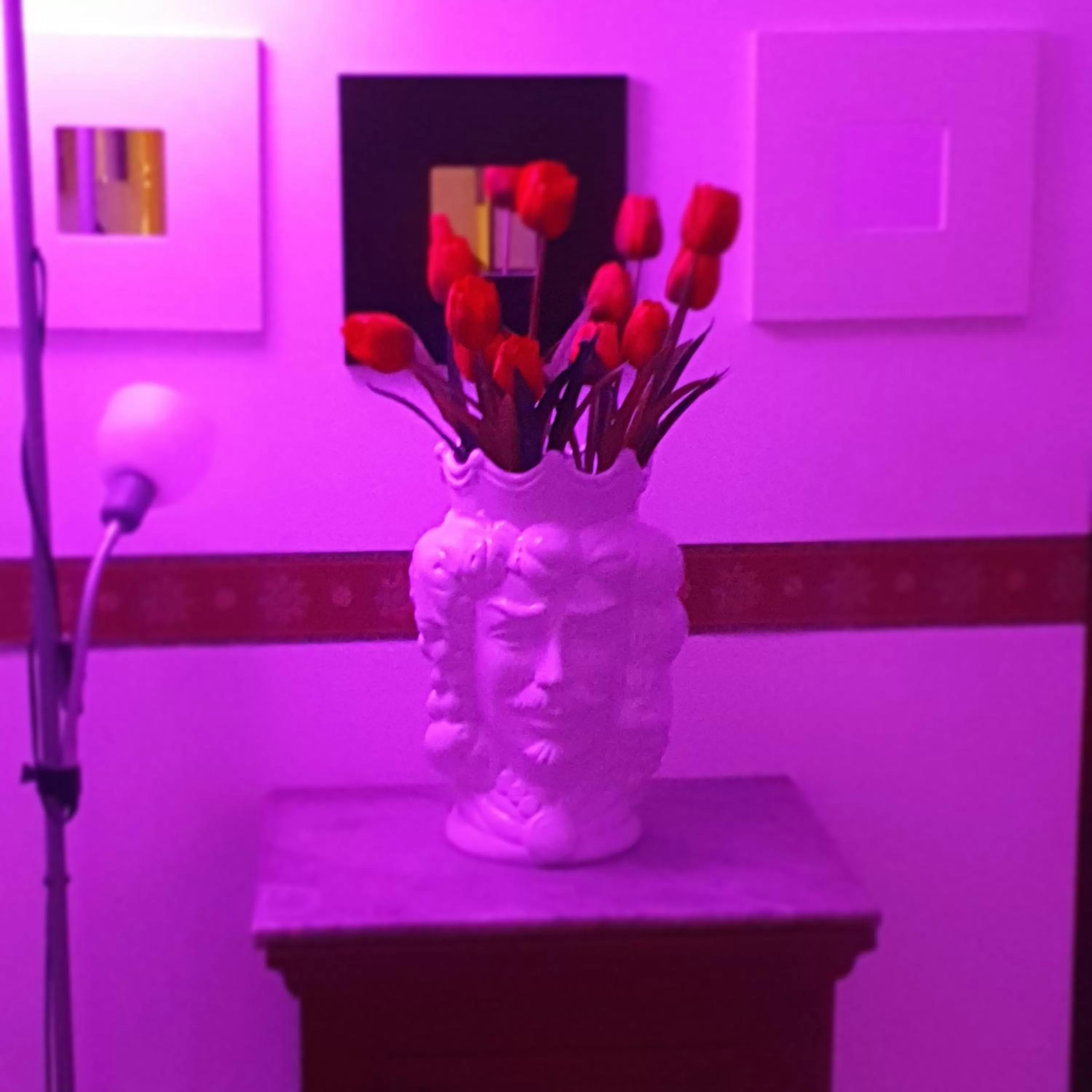 Decorative detail, Bathroom in Alba central City