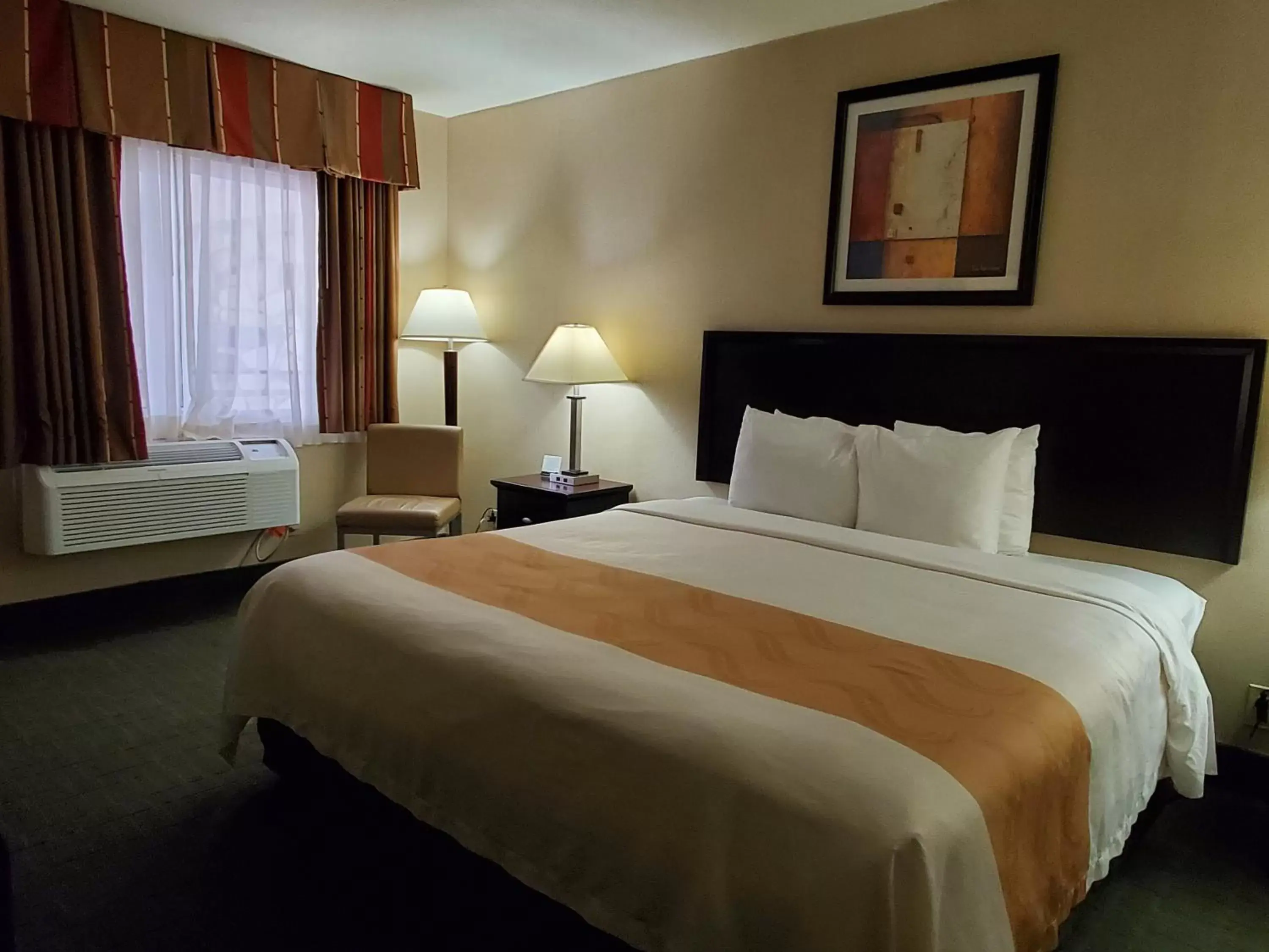 Standard Room, 1 King Bed, Accessible Roll-In Shower, Non Smoking in Quality Inn & Suites Anaheim at the Park Standard Room, 1 King Bed, Accessible Roll-In Shower, Non Smoking in Quality Inn & Suites Anaheim at the Park