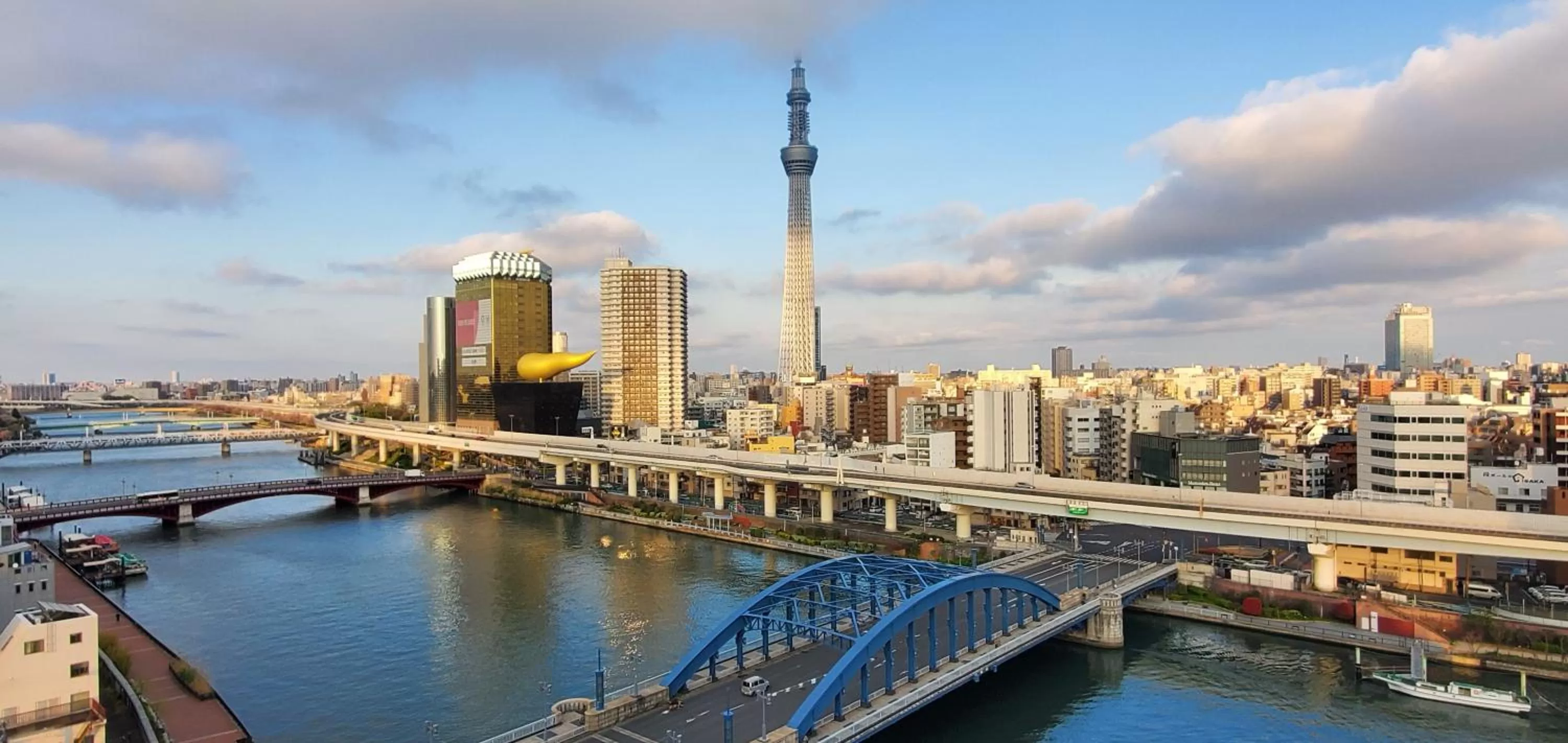 Balcony/Terrace in Hotel Wing International Select Asakusa Komagata