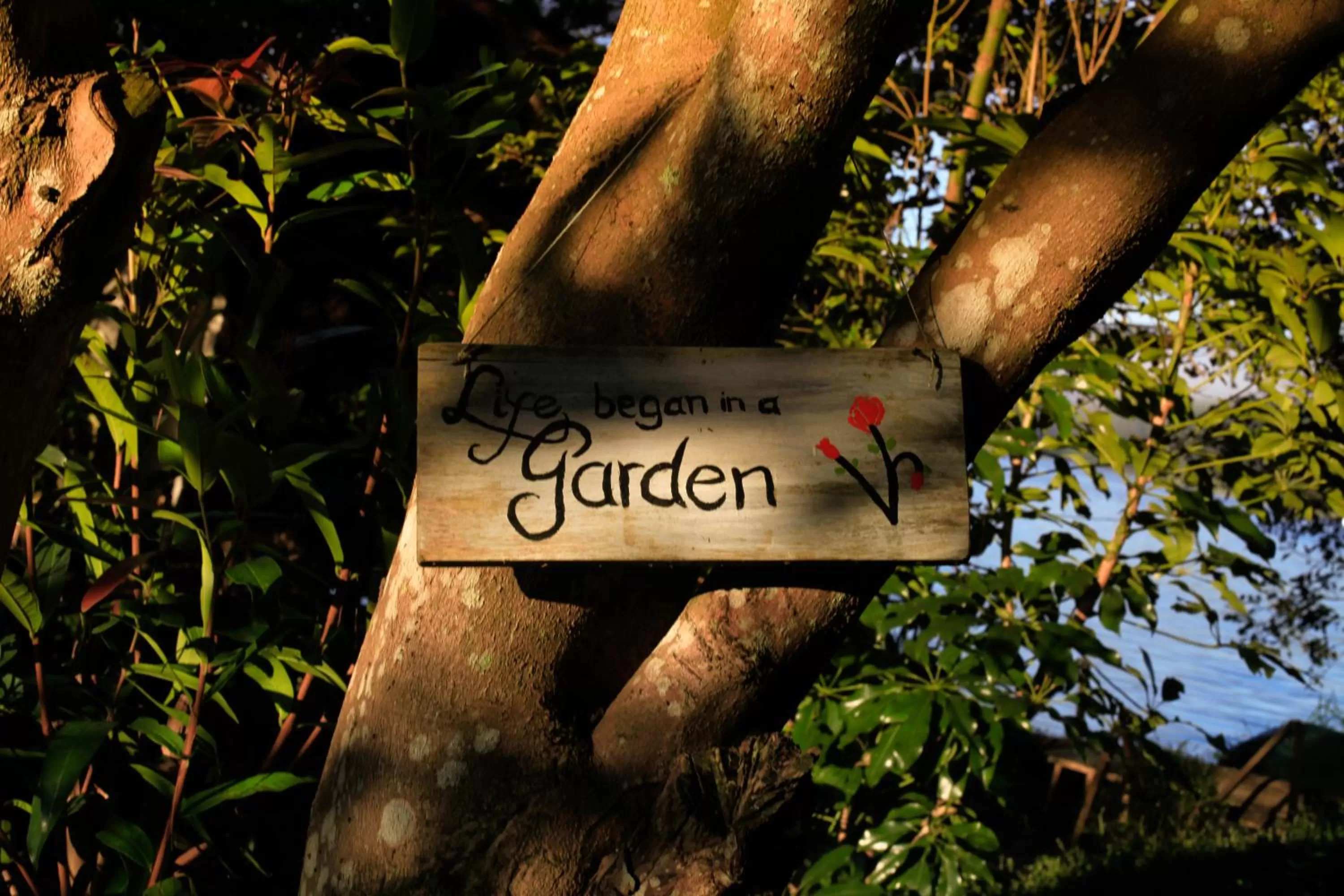 Garden in The Lake House Dalat