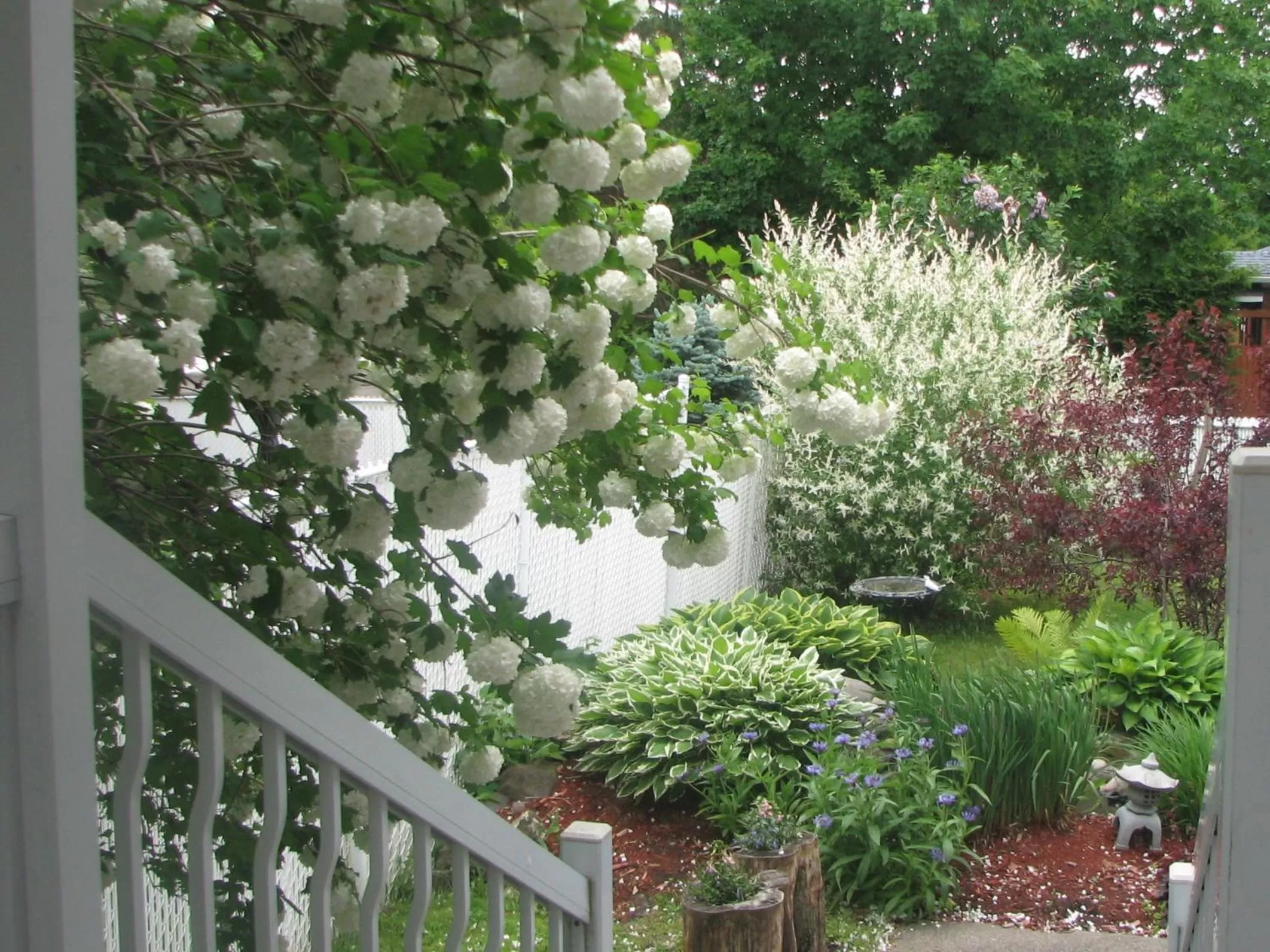 Garden in Magnolia B&B