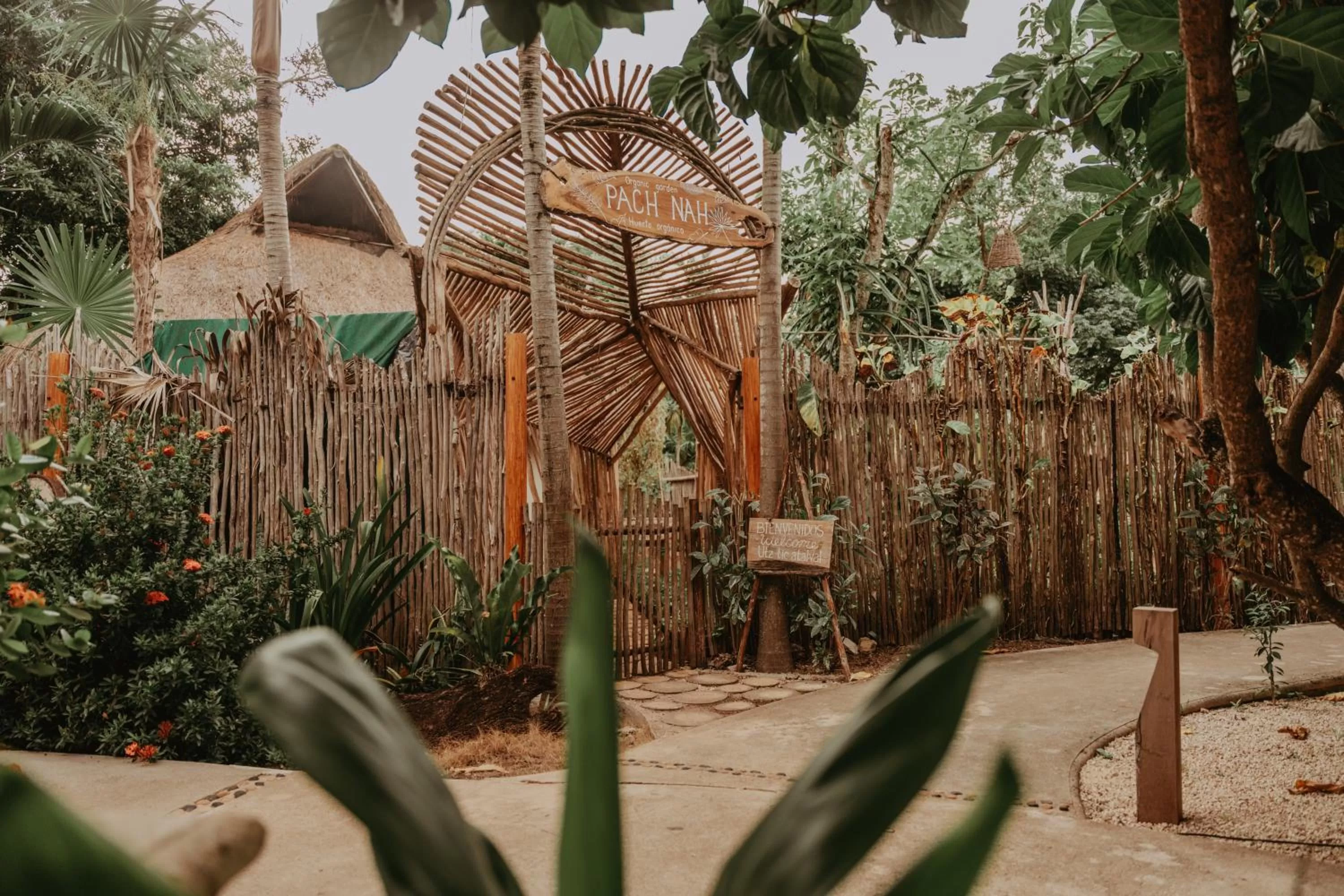 Garden in Petit Lafitte Beach Front Hotel & Bungalows