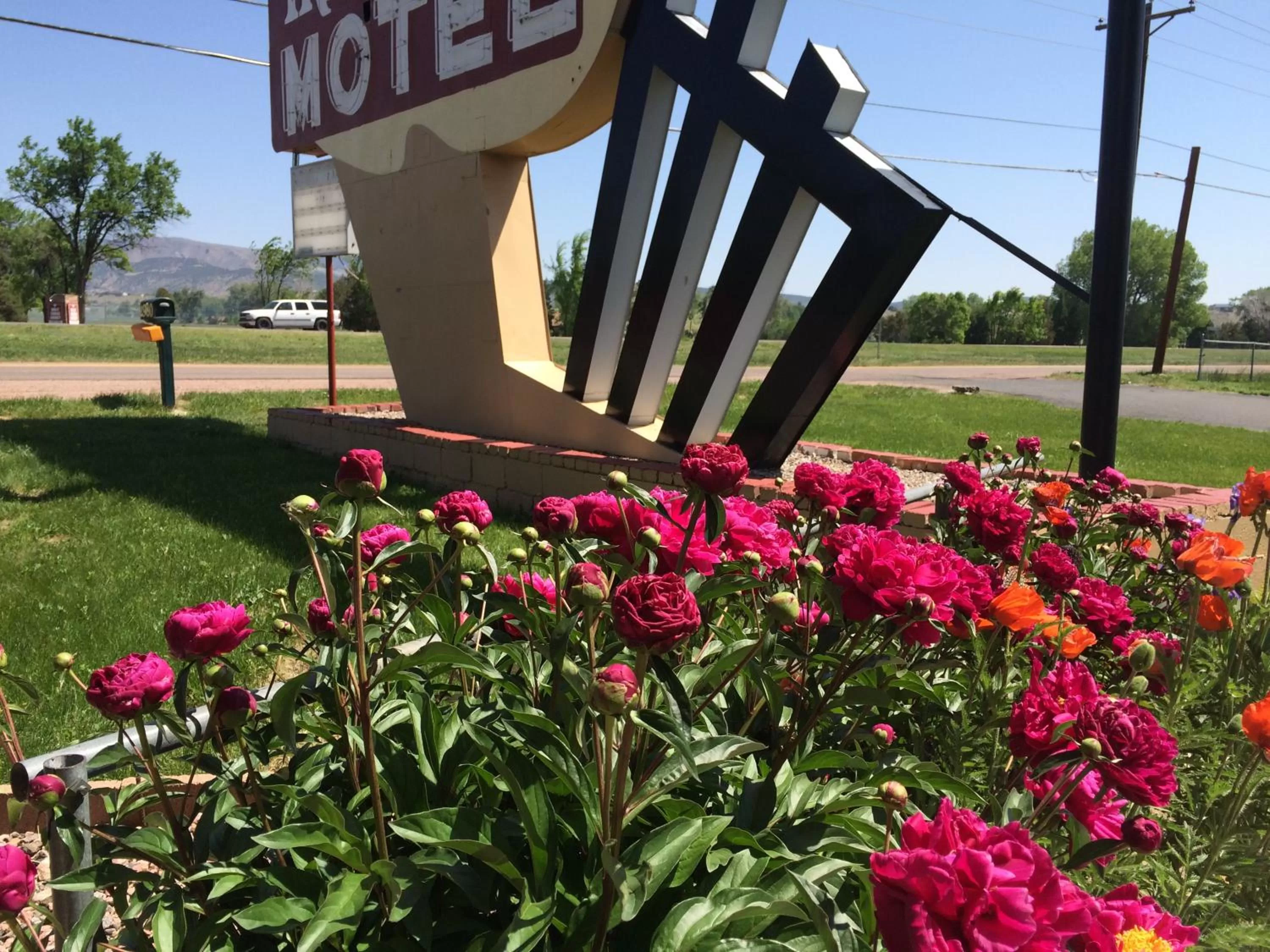 Garden in Travel Inn Motel
