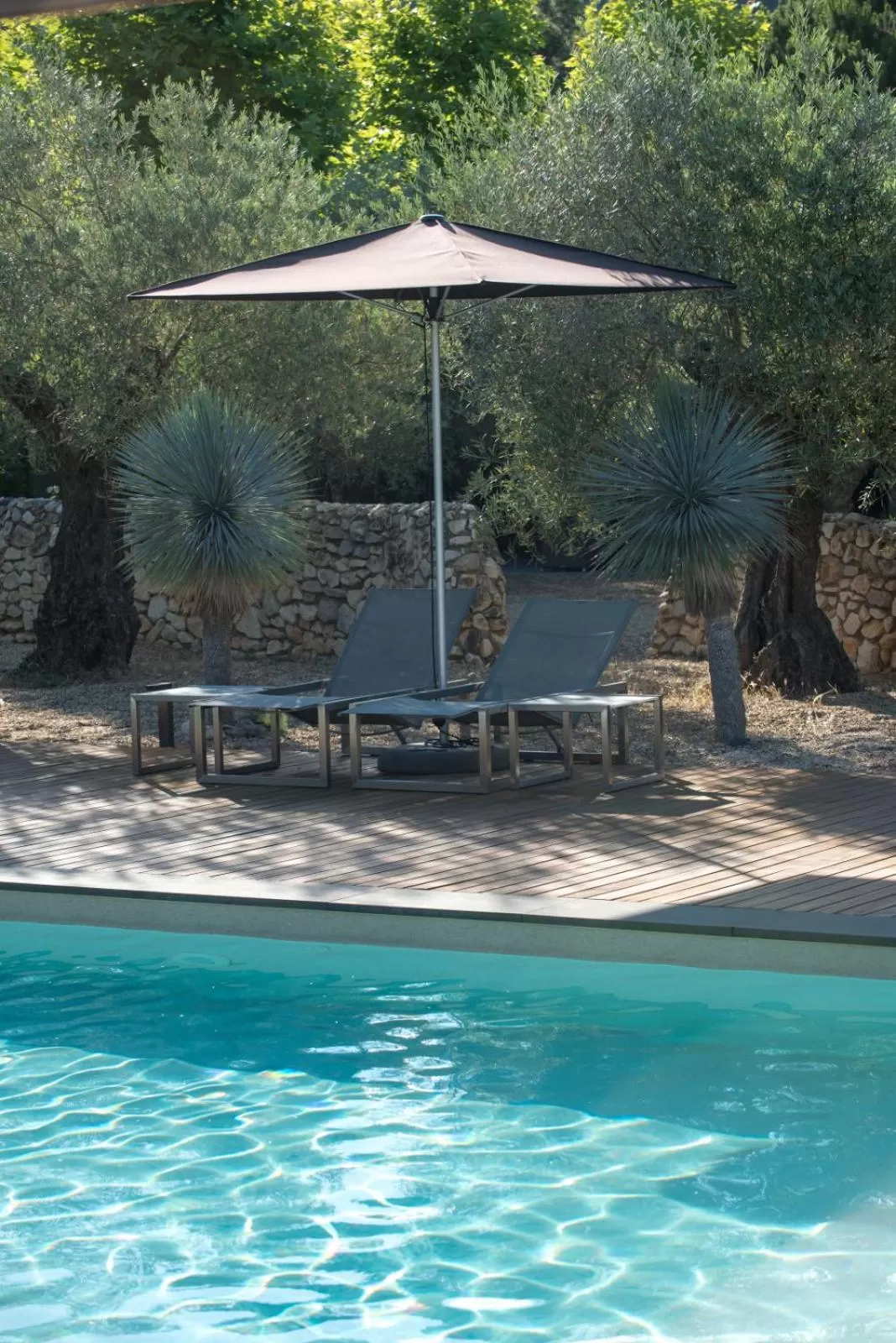 Swimming pool in Domaine la Pierre Blanche